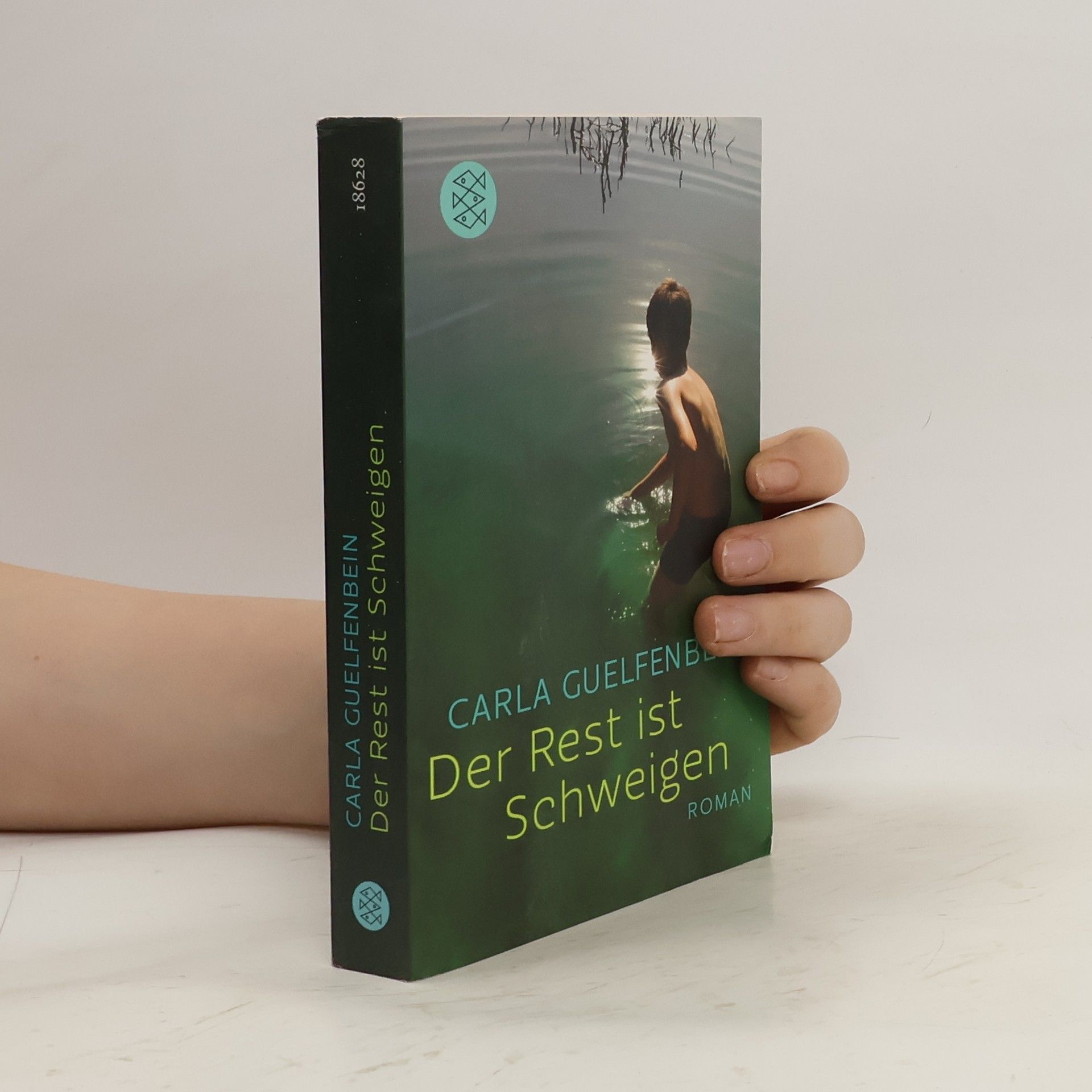 Carla Guelfenbein Der Rest ist Schweigen