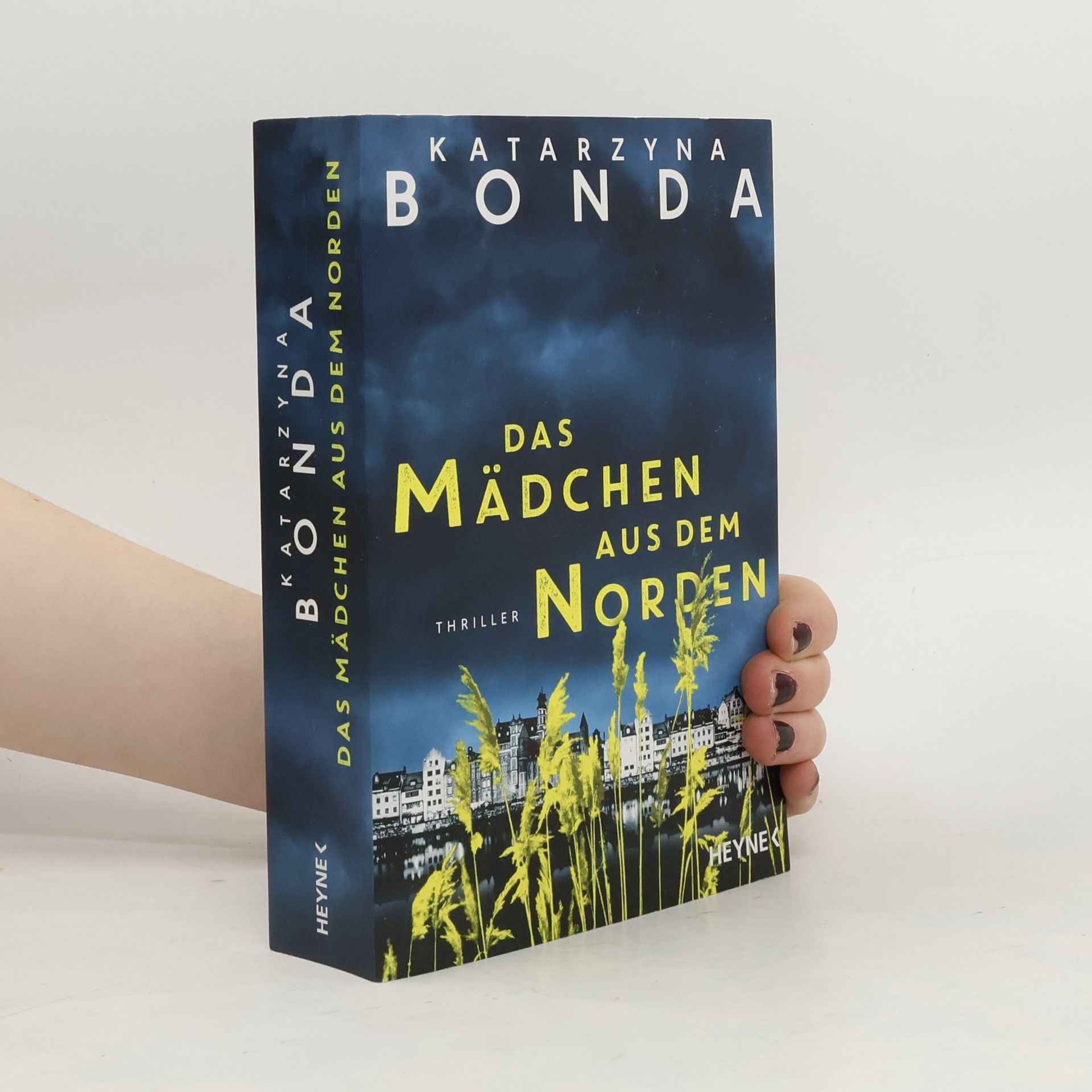 Katarzyna Bonda Das Mädchen aus dem Norden
