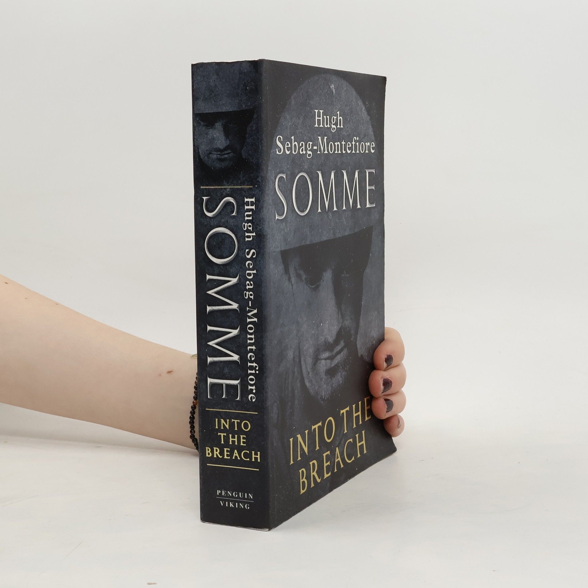 Hugh Sebag-Montefiore Somme