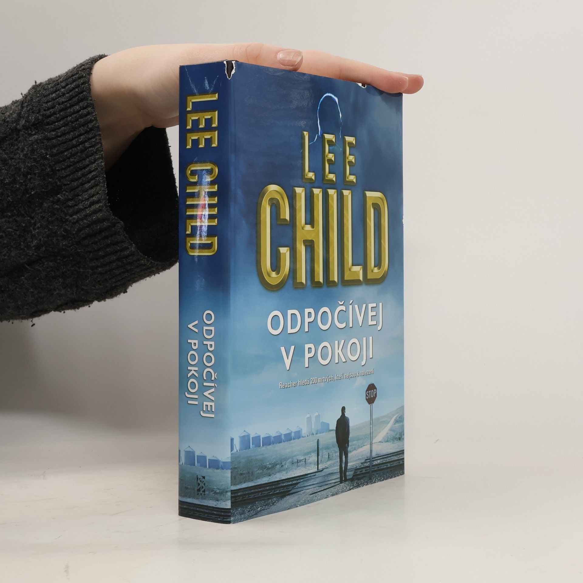 Lee Child Odpočívej v pokoji