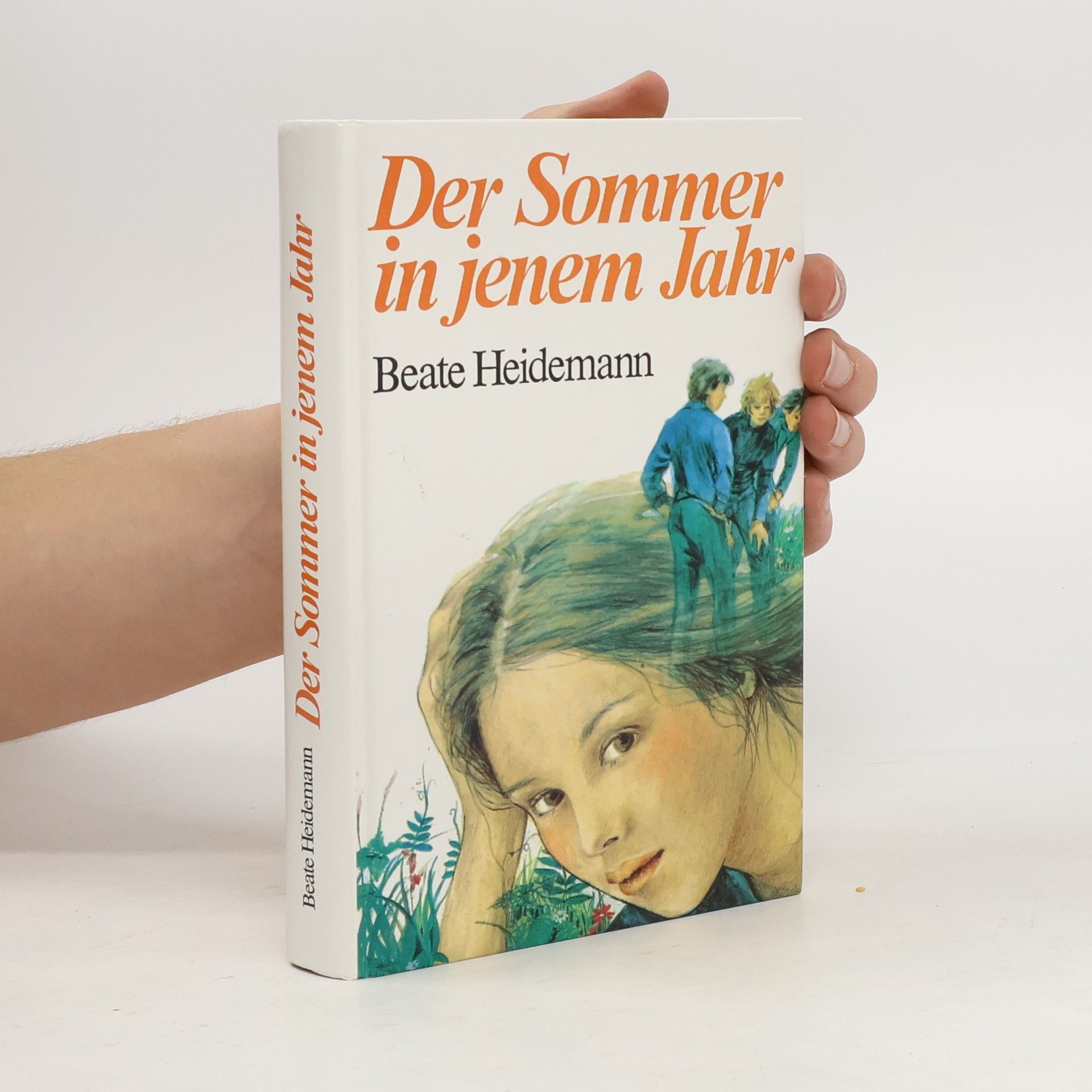 Beate Heidemann Der Sommer in jenem Jahr