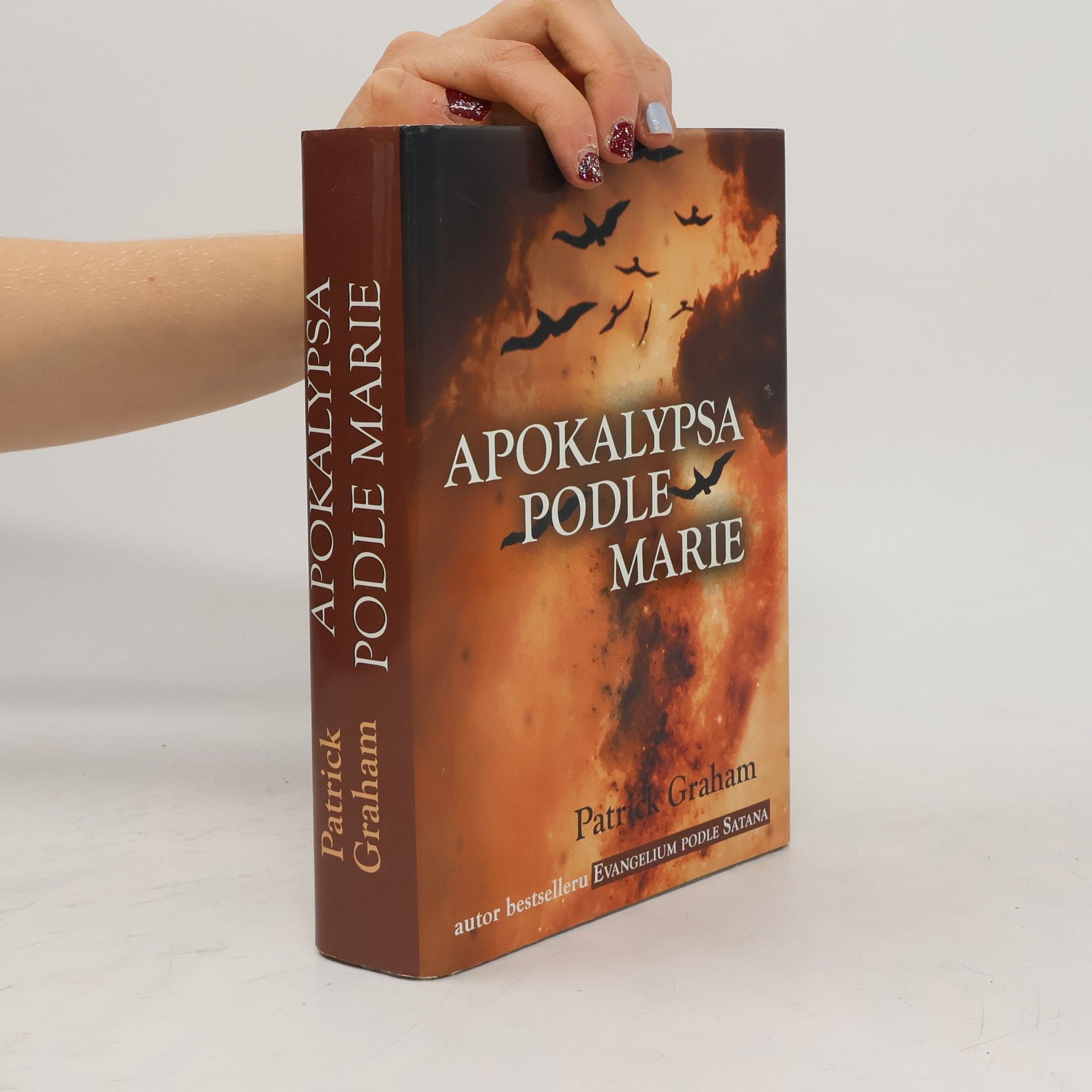 Patrick Graham Apokalypsa podle Marie