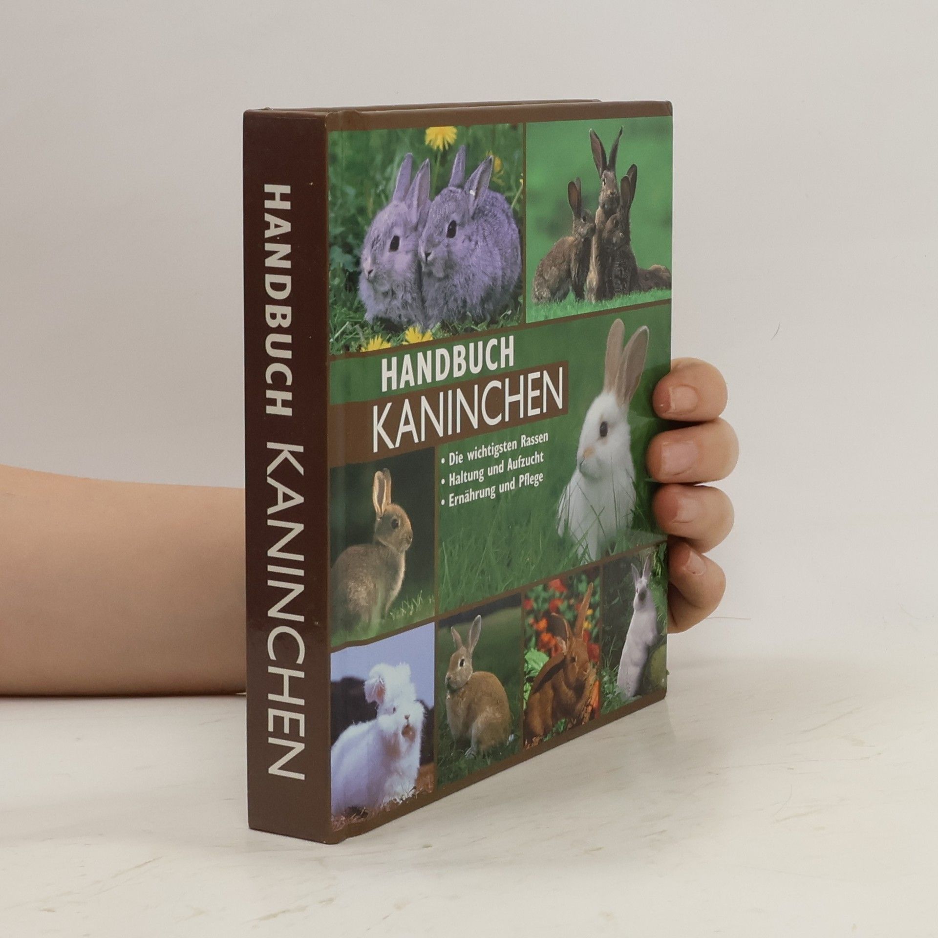 Autorenkollektiv Handbuch Kaninchen