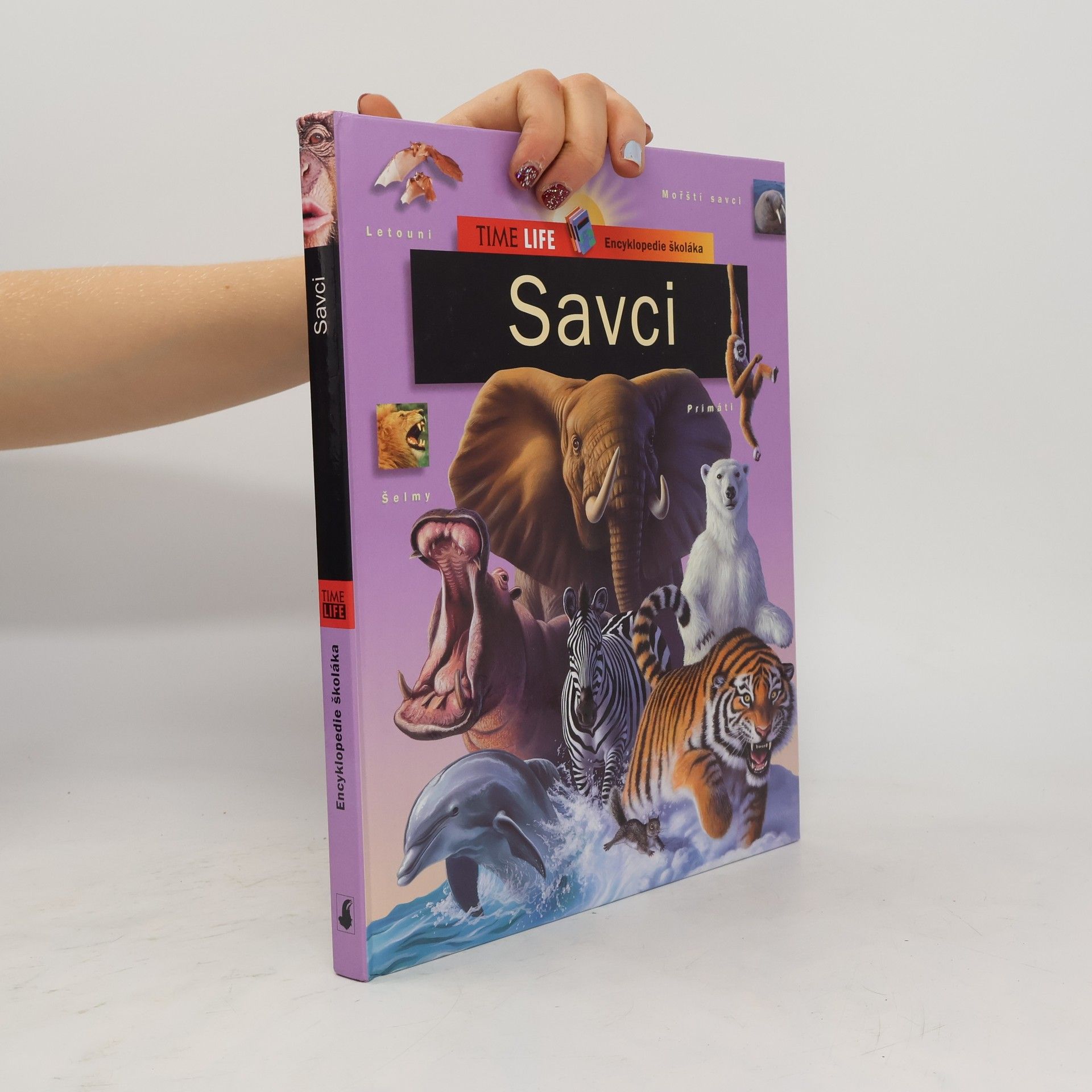 kolektiv Savci