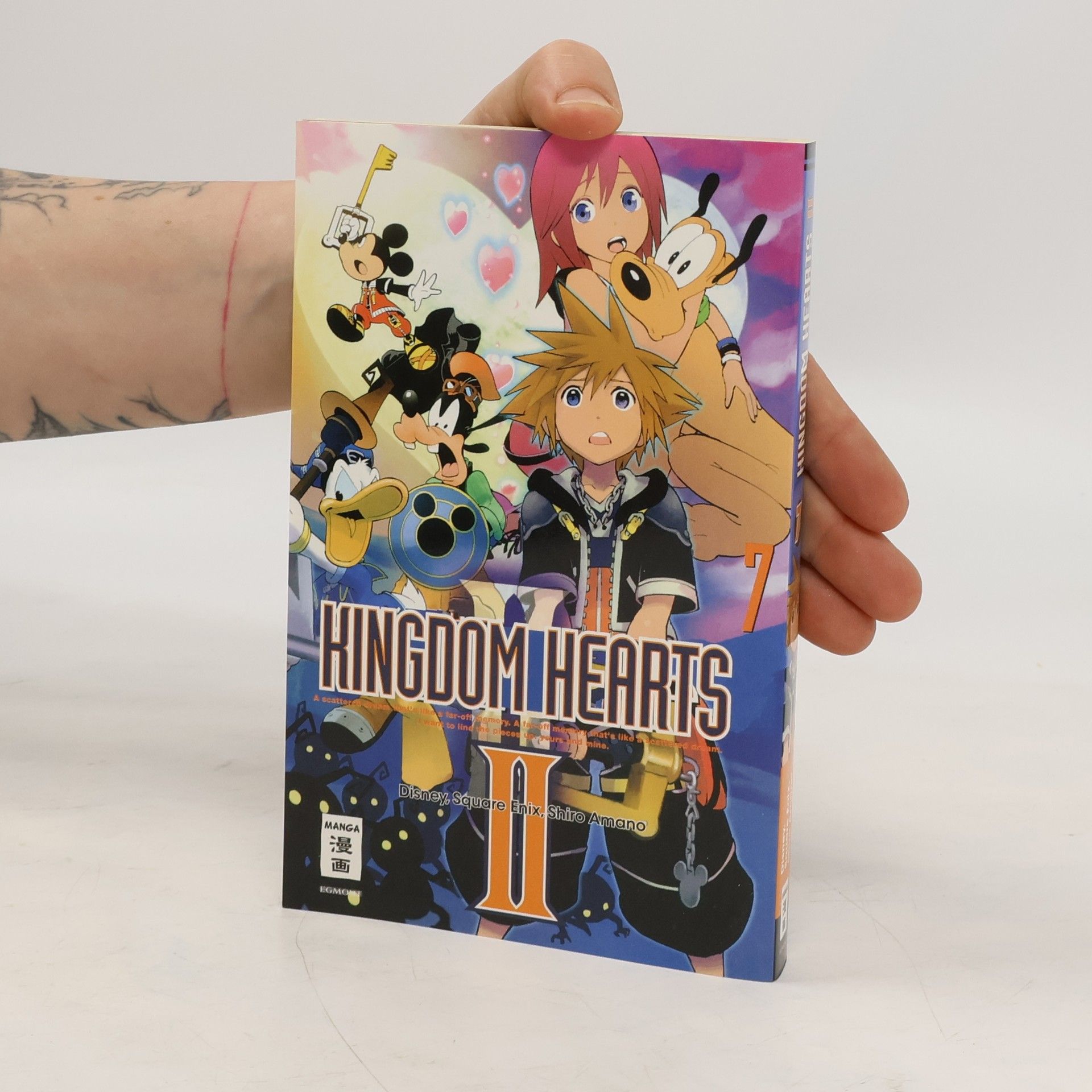 kolektiv Kingdom hearts II
