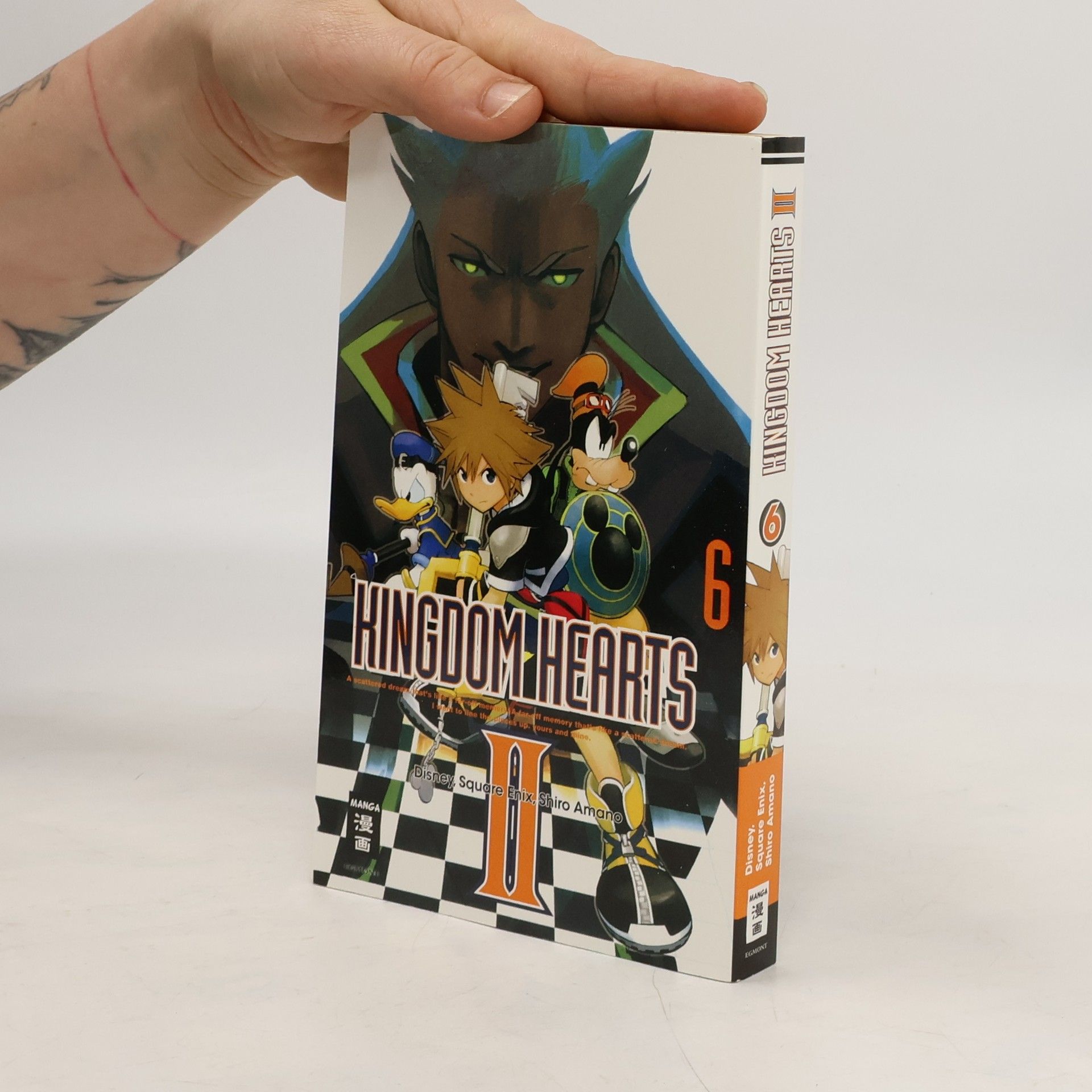 kolektiv Kingdom hearts II