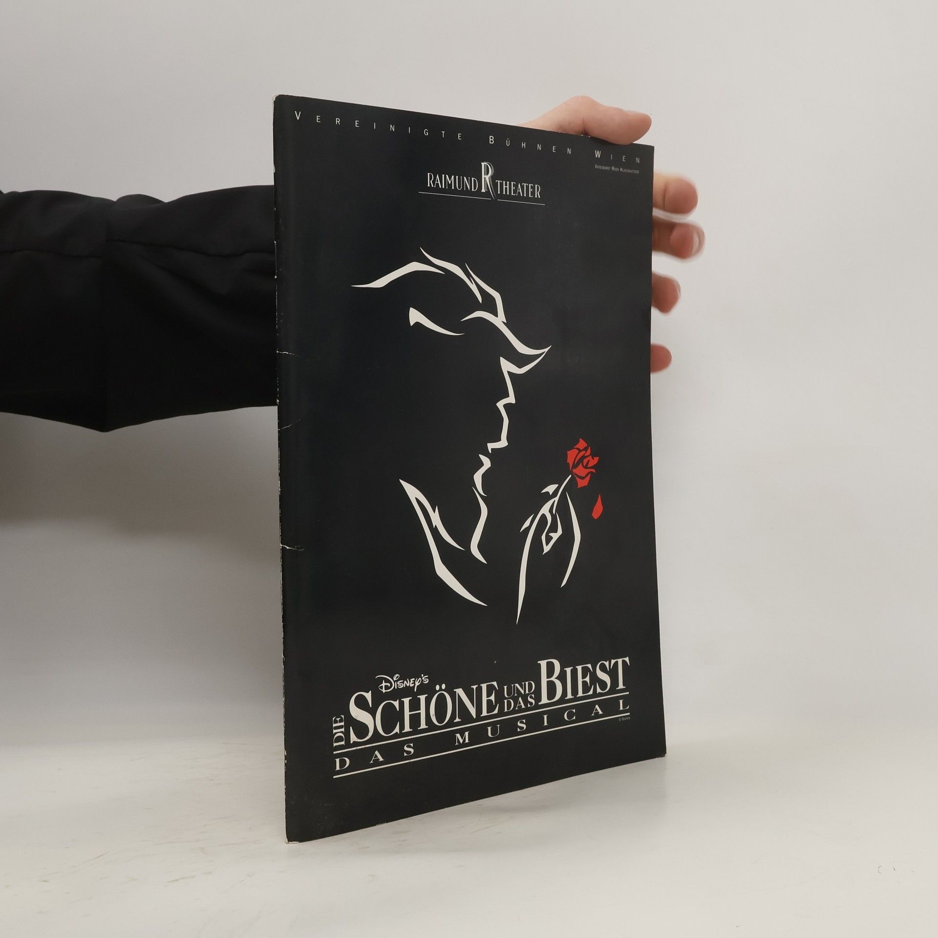 Autorenkollektiv Die Schöne und das Biest. Das Musical