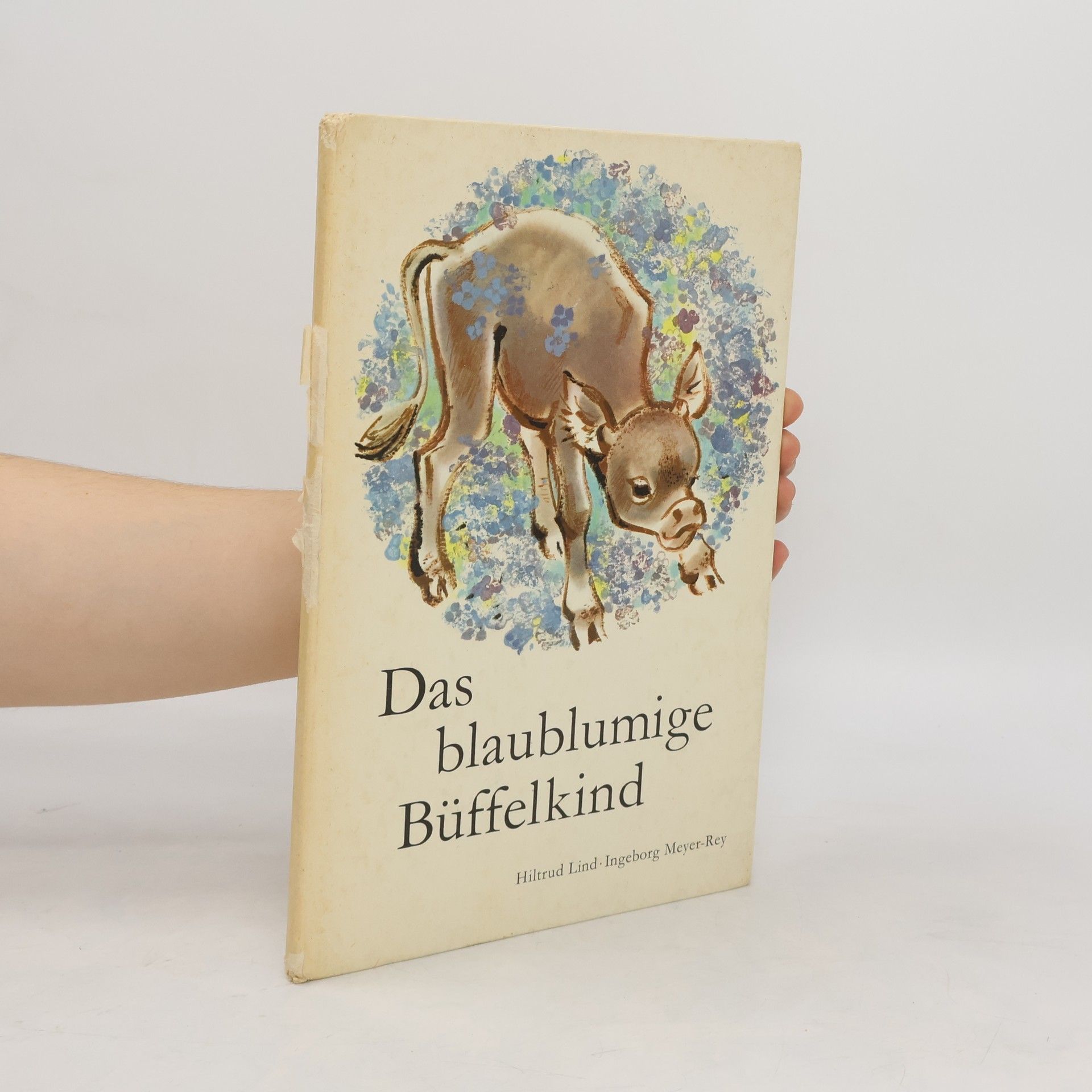 Ingeborg Meyer-Rey Das blaublumige Büffelkind