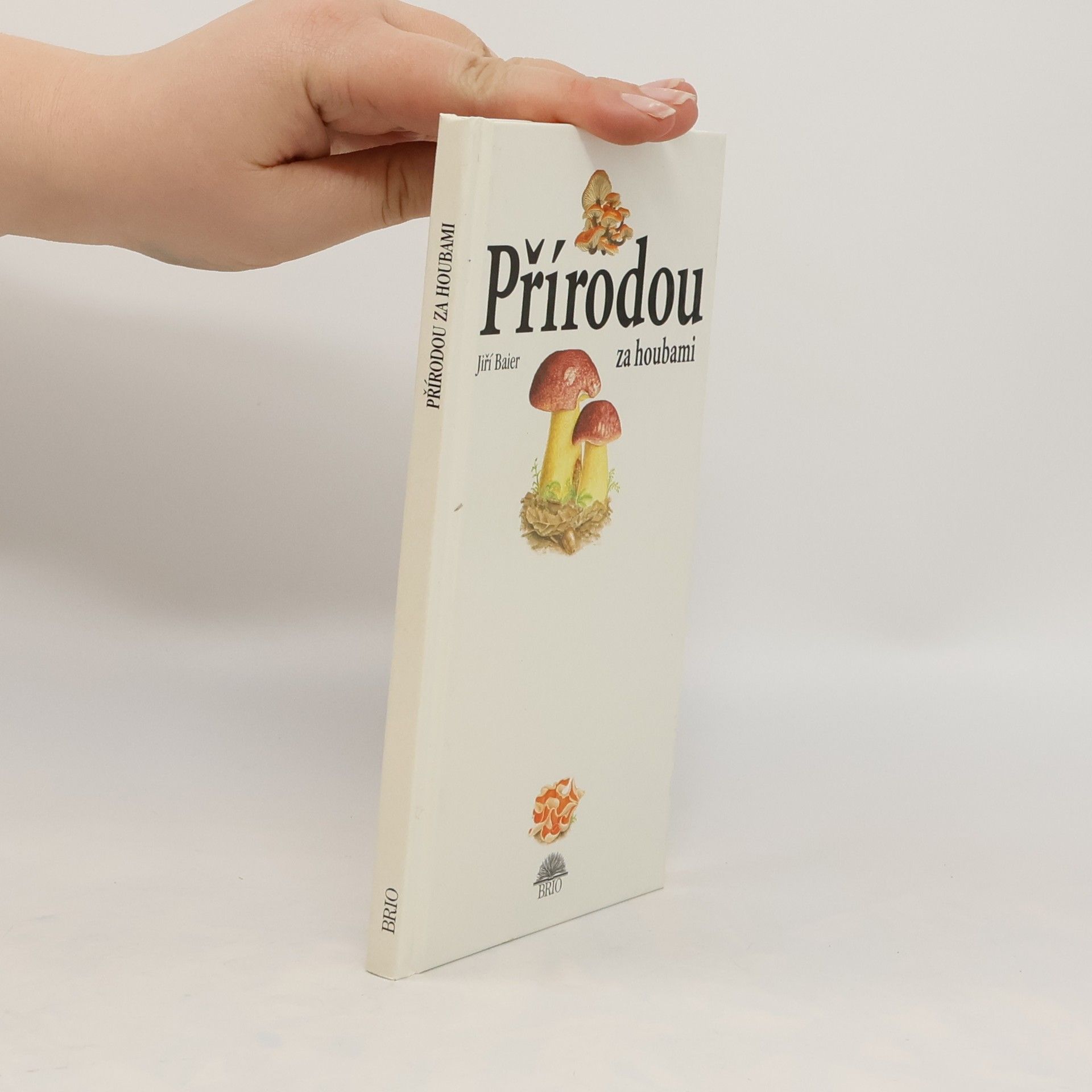 Jiři Baier Přírodou za houbami