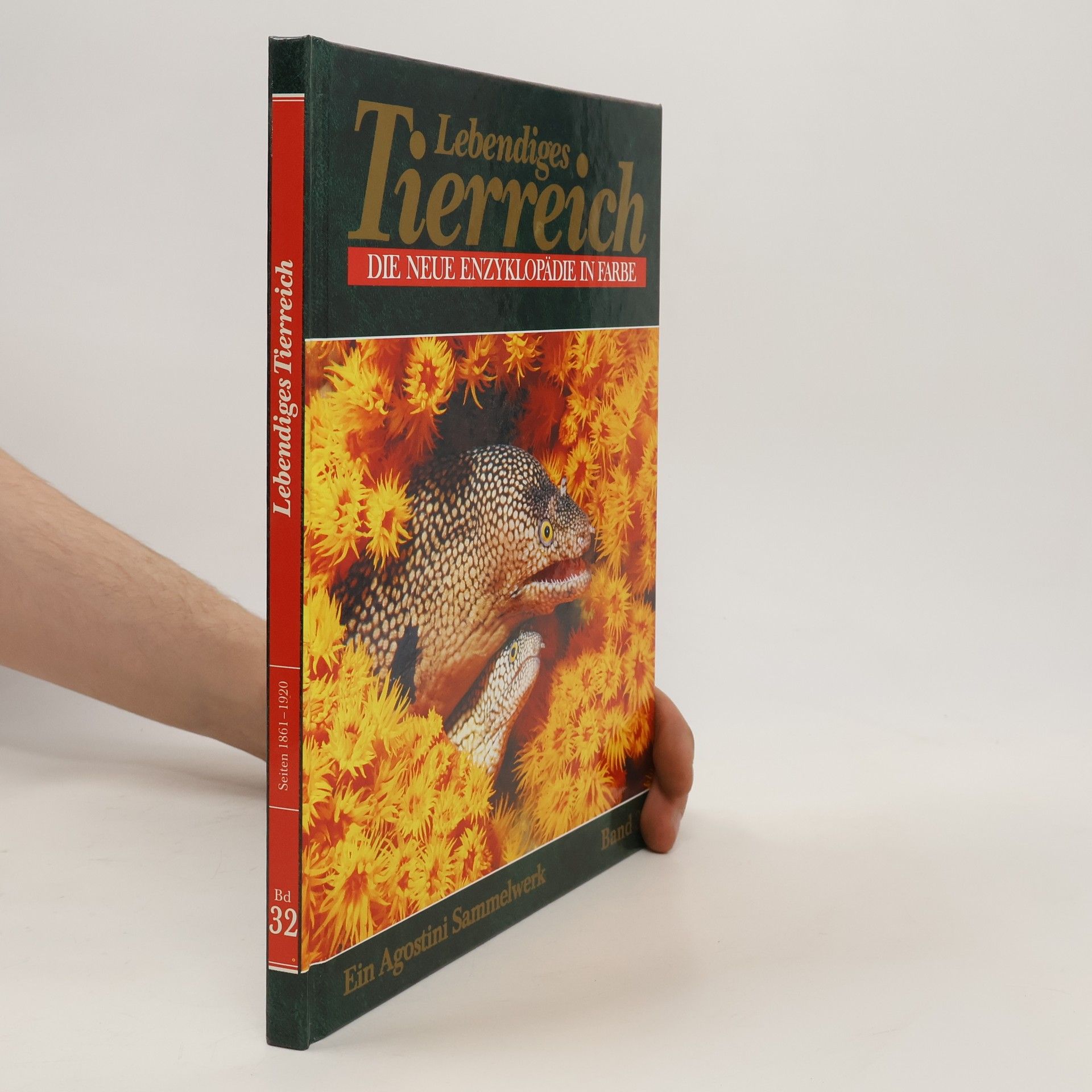 Collective Lebendiges Tierreich 32