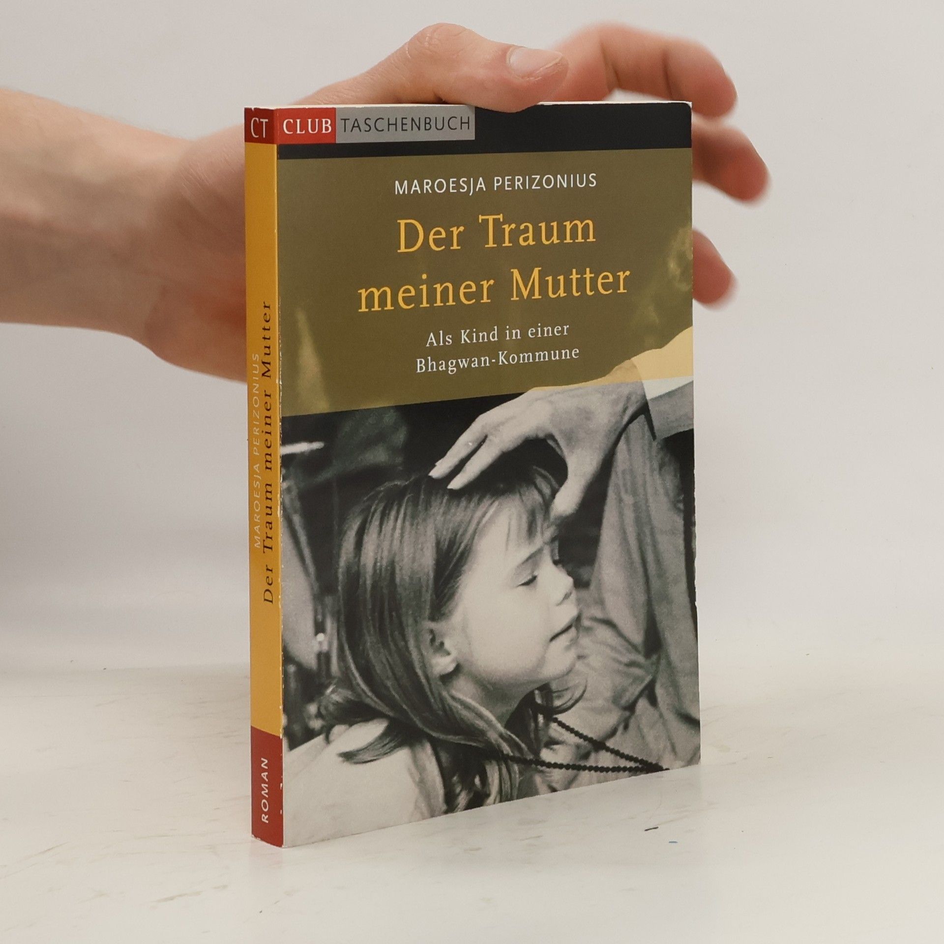 Alice Munro Der Traum meiner Mutter
