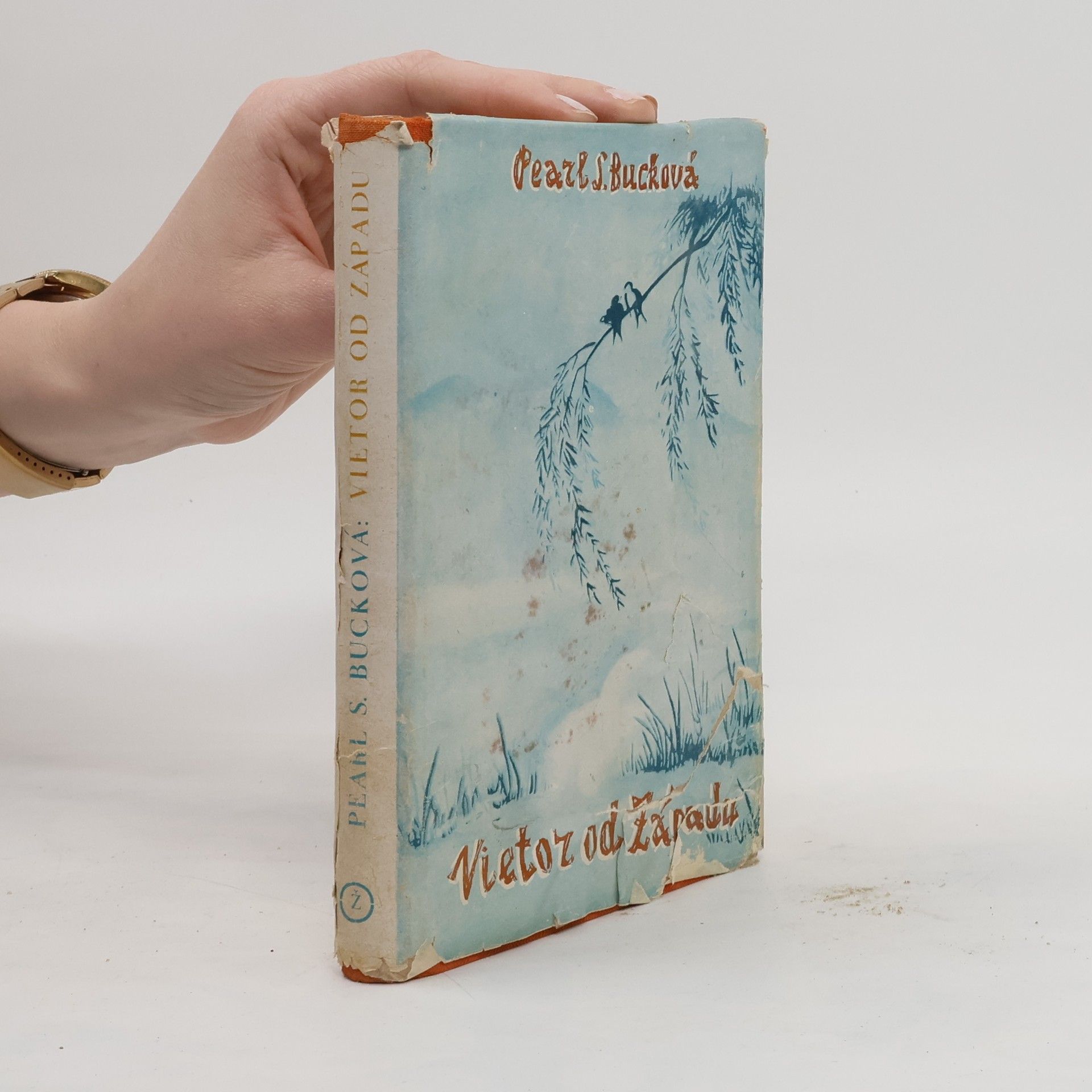 Pearl S. Buck Vietor od západu