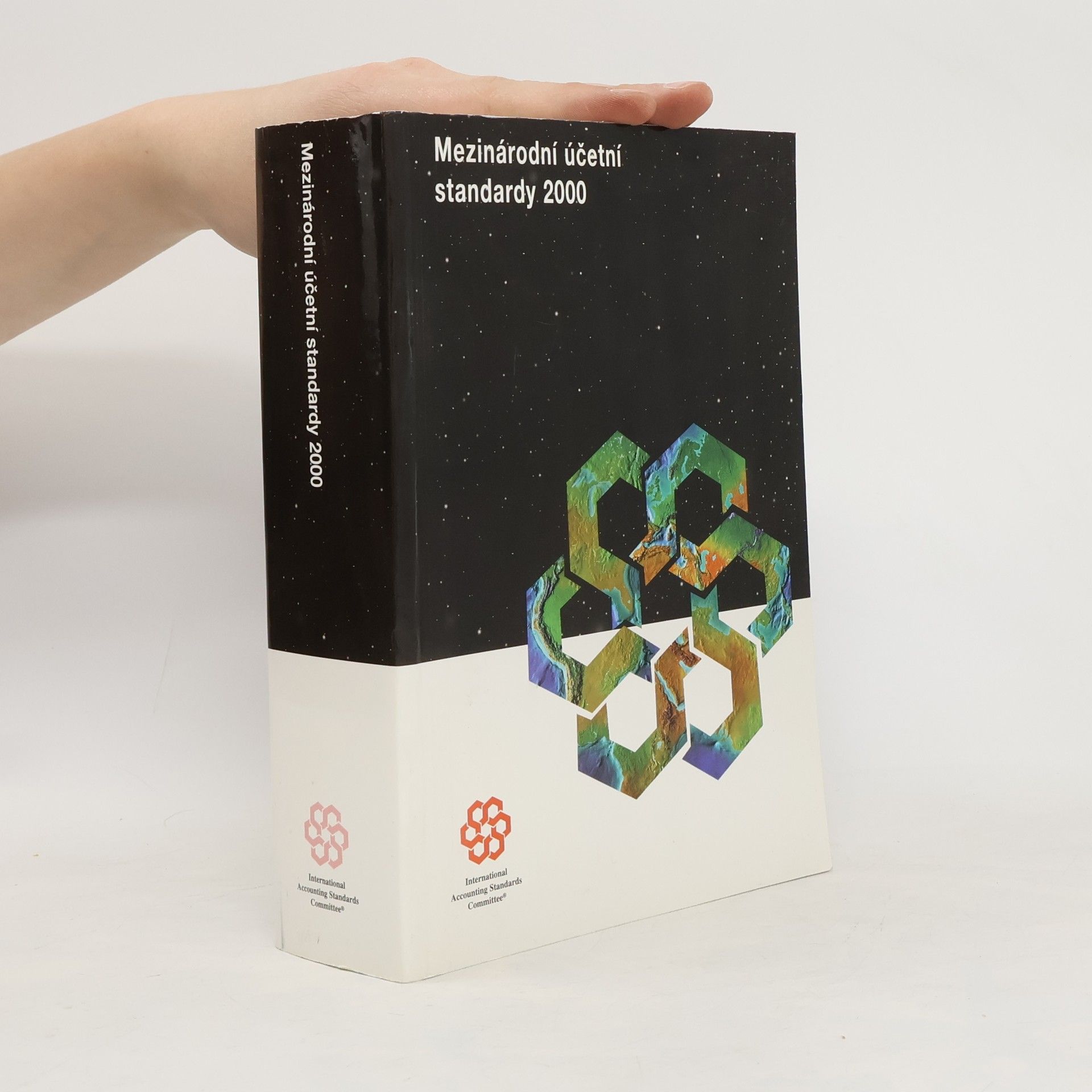 Kolektív autorov Mezinárodní účetní standardy 2000