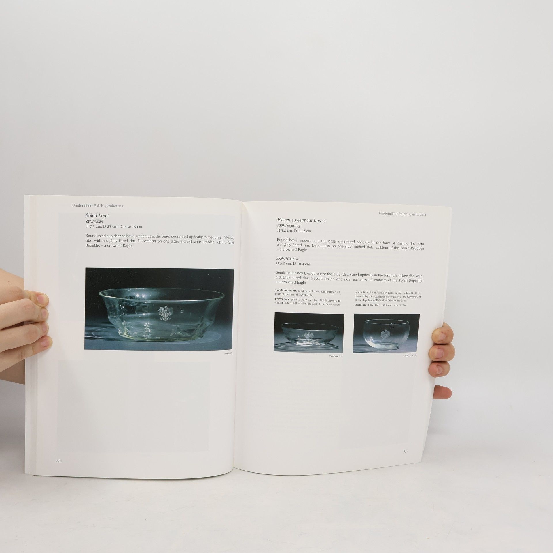 Anna Szkurłat The Royal Castle in Warsaw and the Foundation of the Ciechanowiecki Family collection : glass collection catalogue