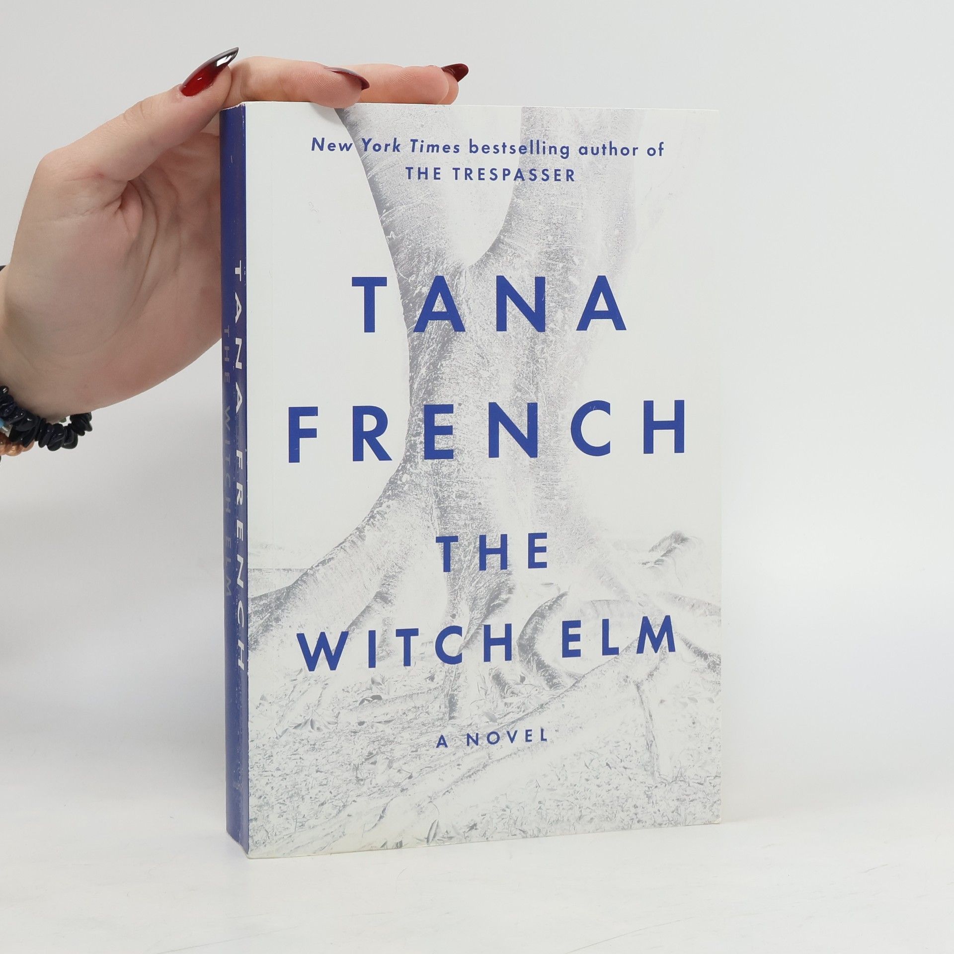 Tana French The Witch Elm