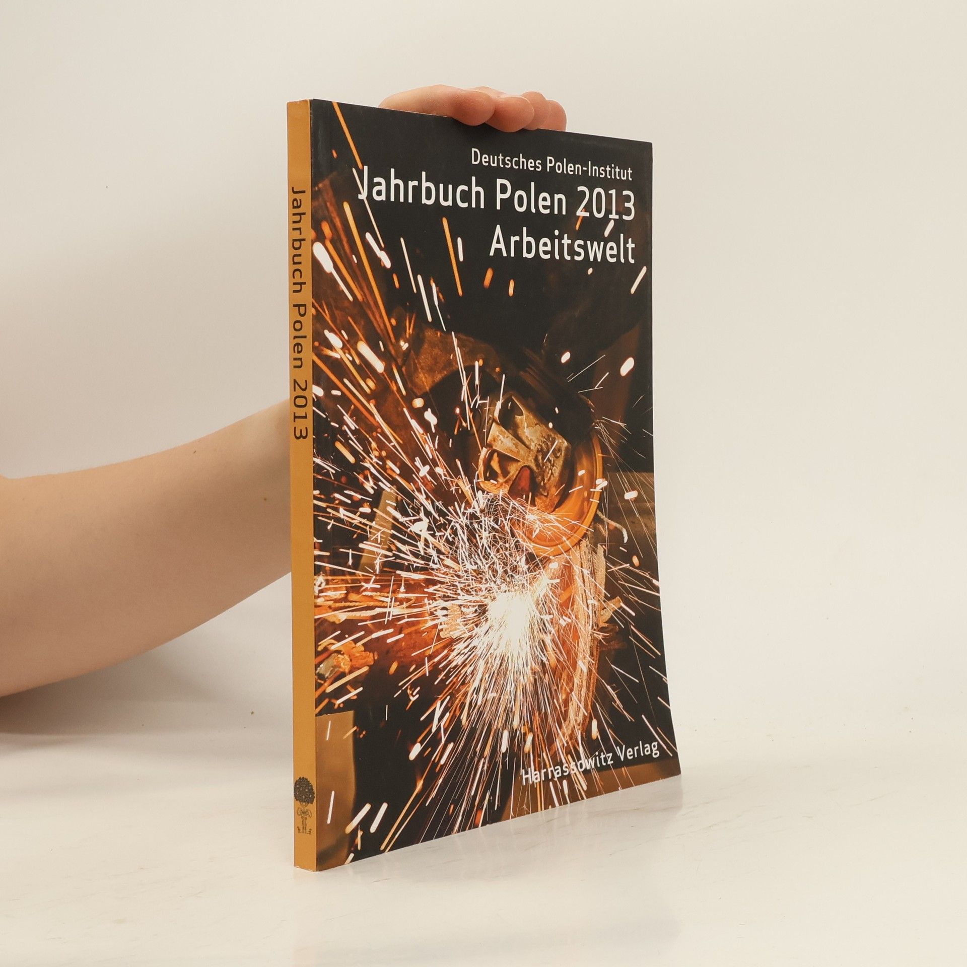 Autorenkollektiv Jahrbuch Polen 2013 Arbeitswelt