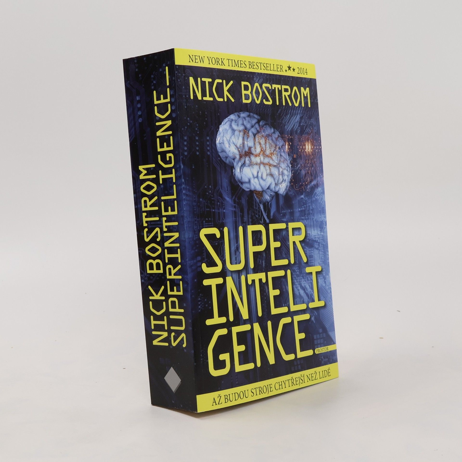 Nick Bostrom Superinteligence