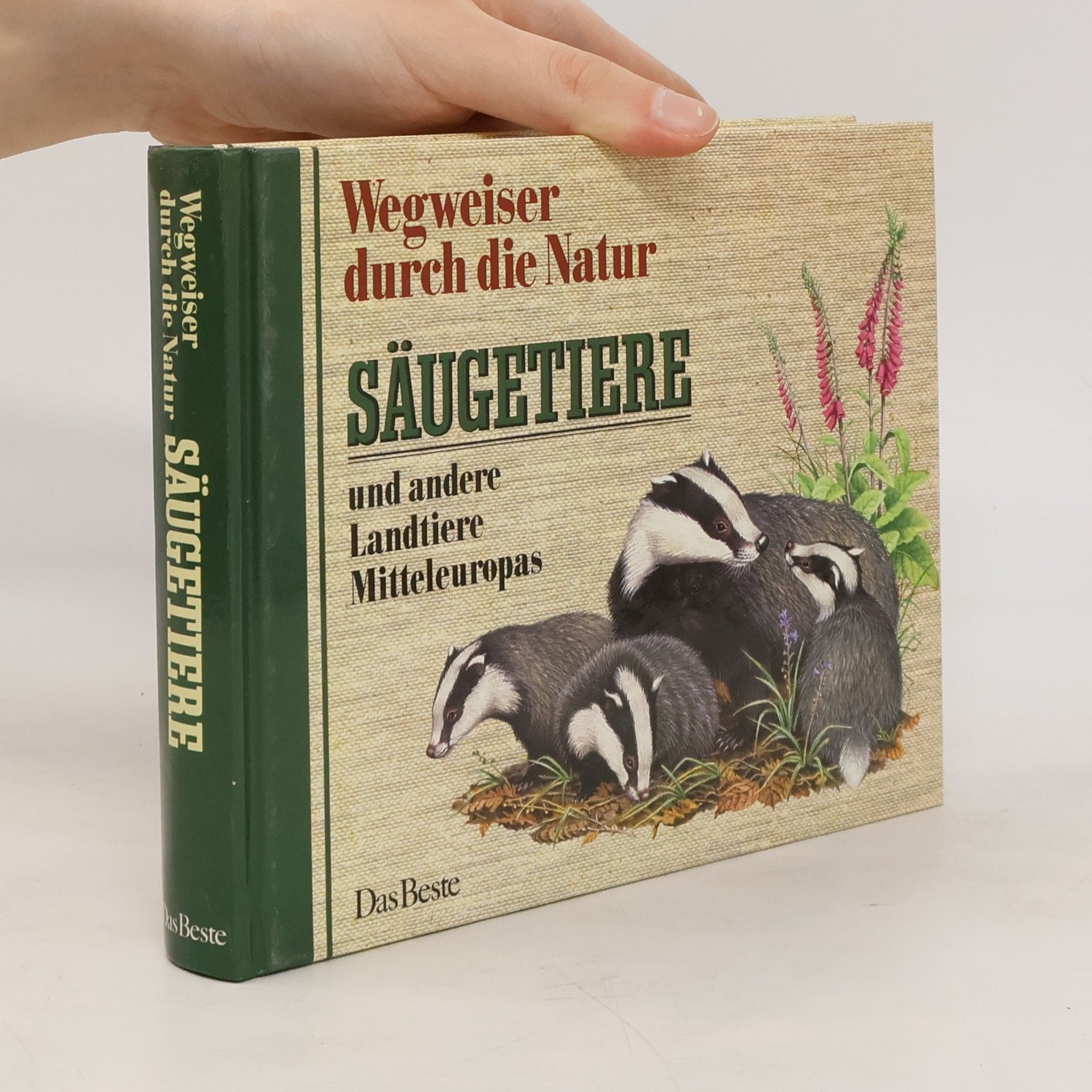 Friedrich Dieterlen Wegweiser durch die Natur. Säugetiere und andere Landtiere Mitteleuropas