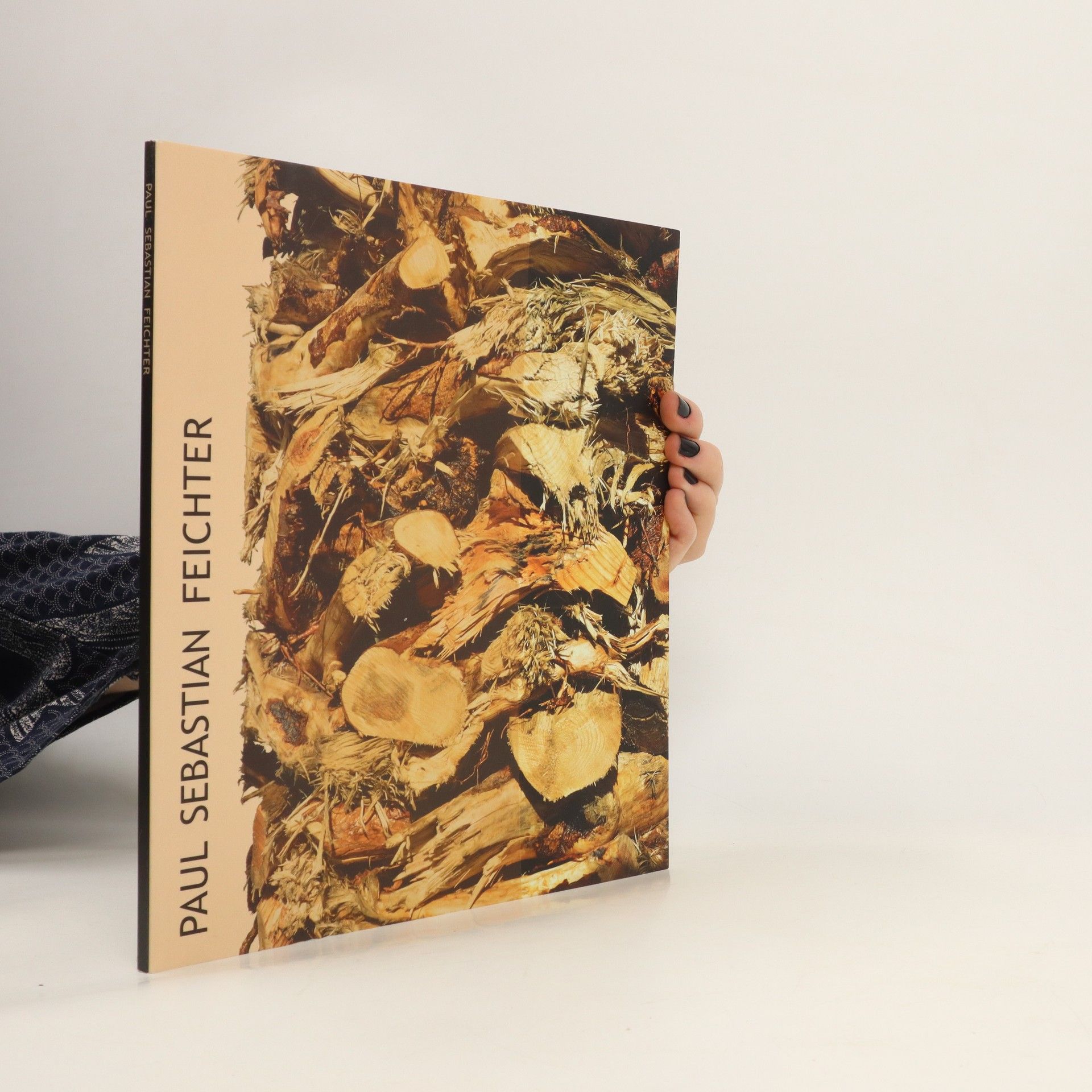 AA.VV. Paul Sebastian Feichter