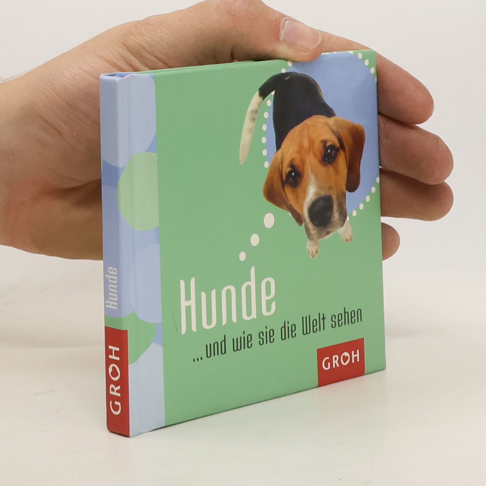 Lilly Brown Hunde ... und wie sie die Welt sehen