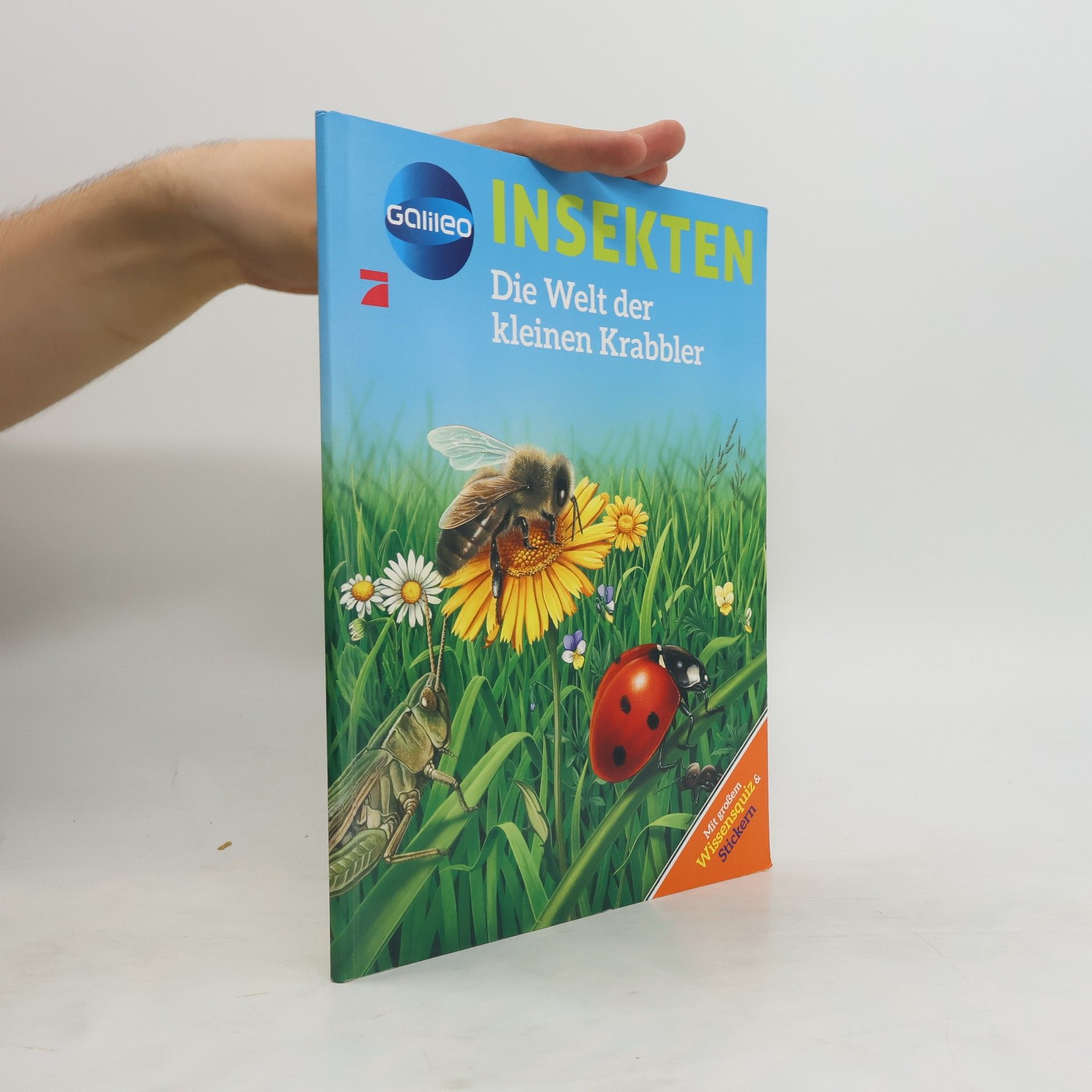 Autorenkollektiv Insekten : Die Welt der kleinen Krabbler