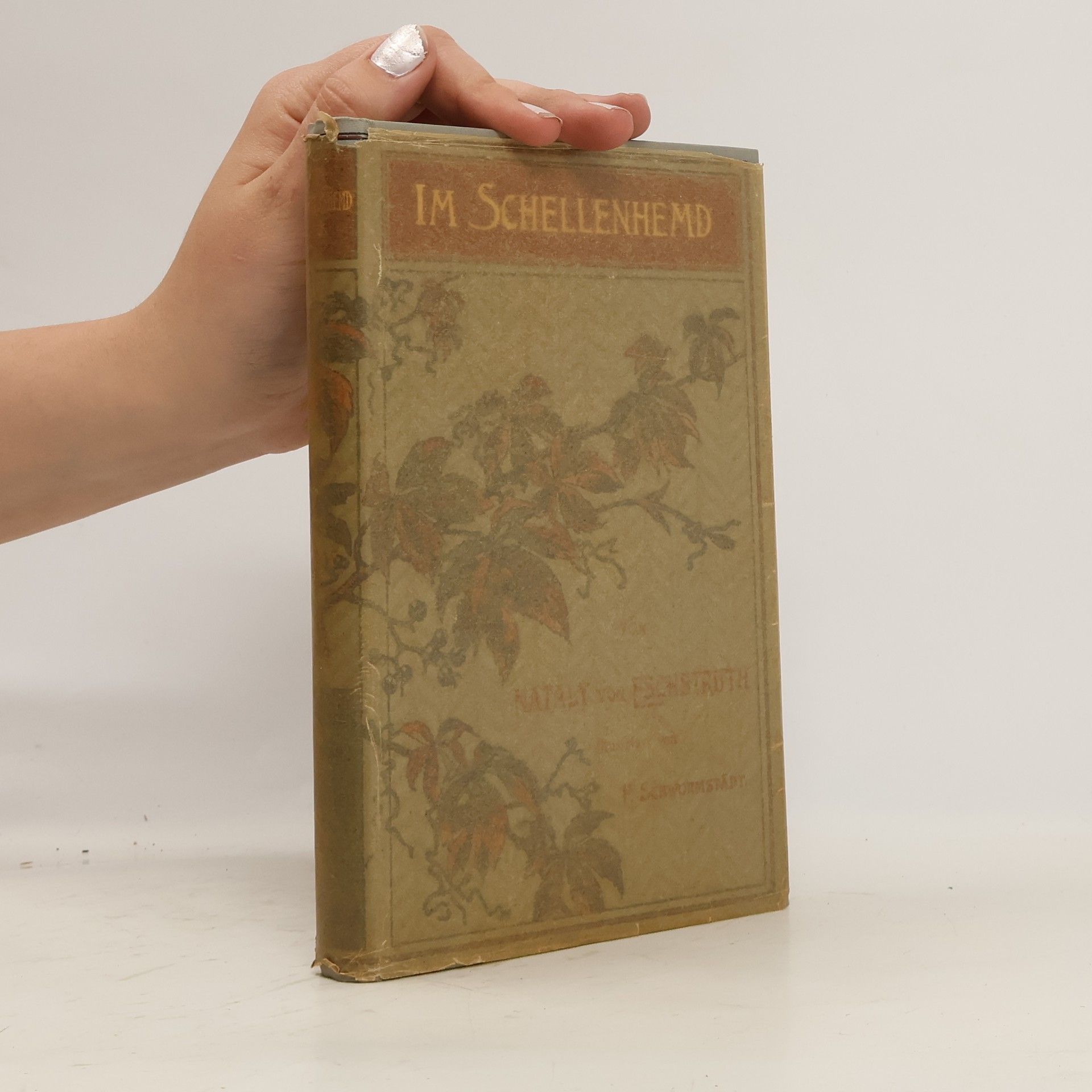 Nataly von Eschstruth Im Schellenhemd I