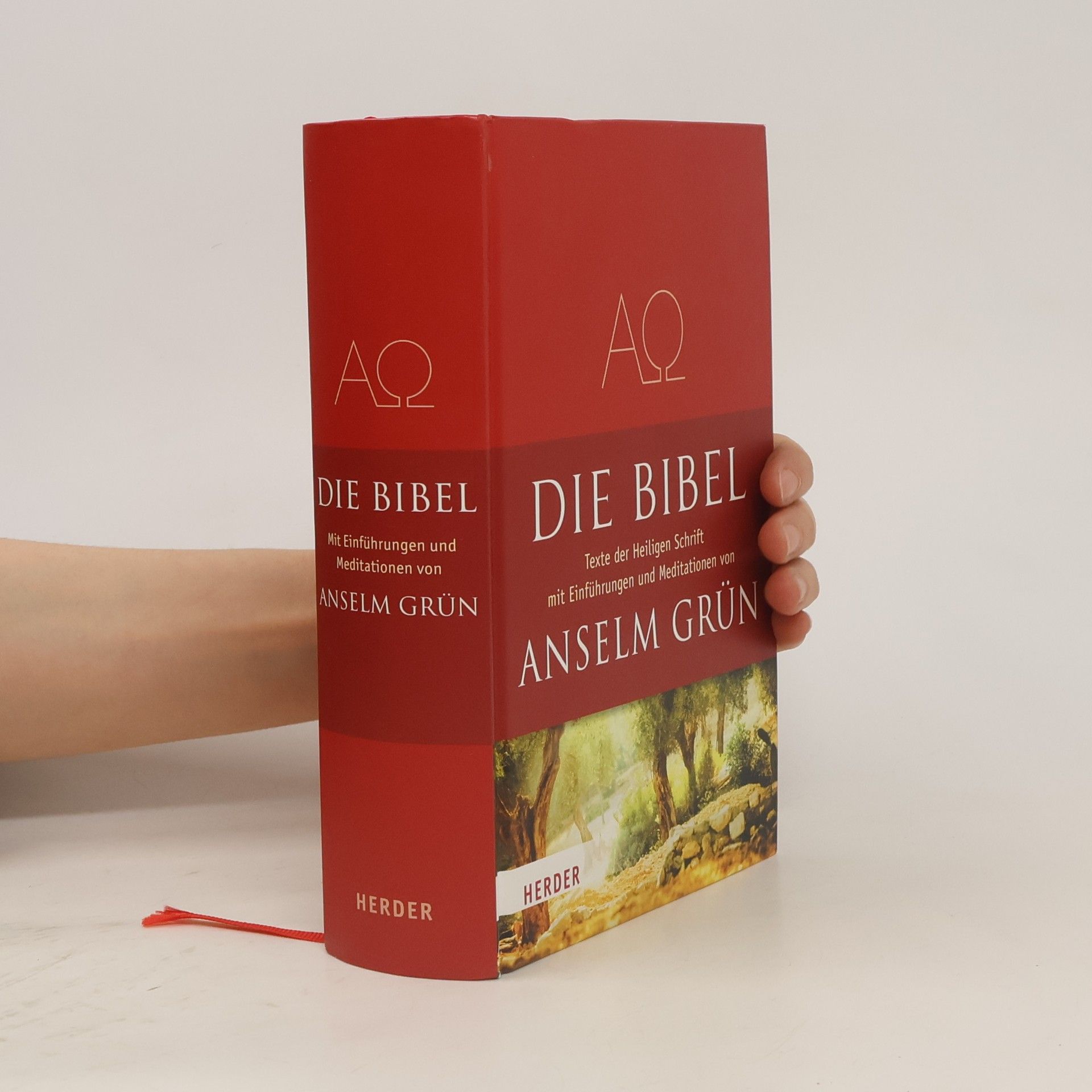 Anselm Grün Die Bibel
