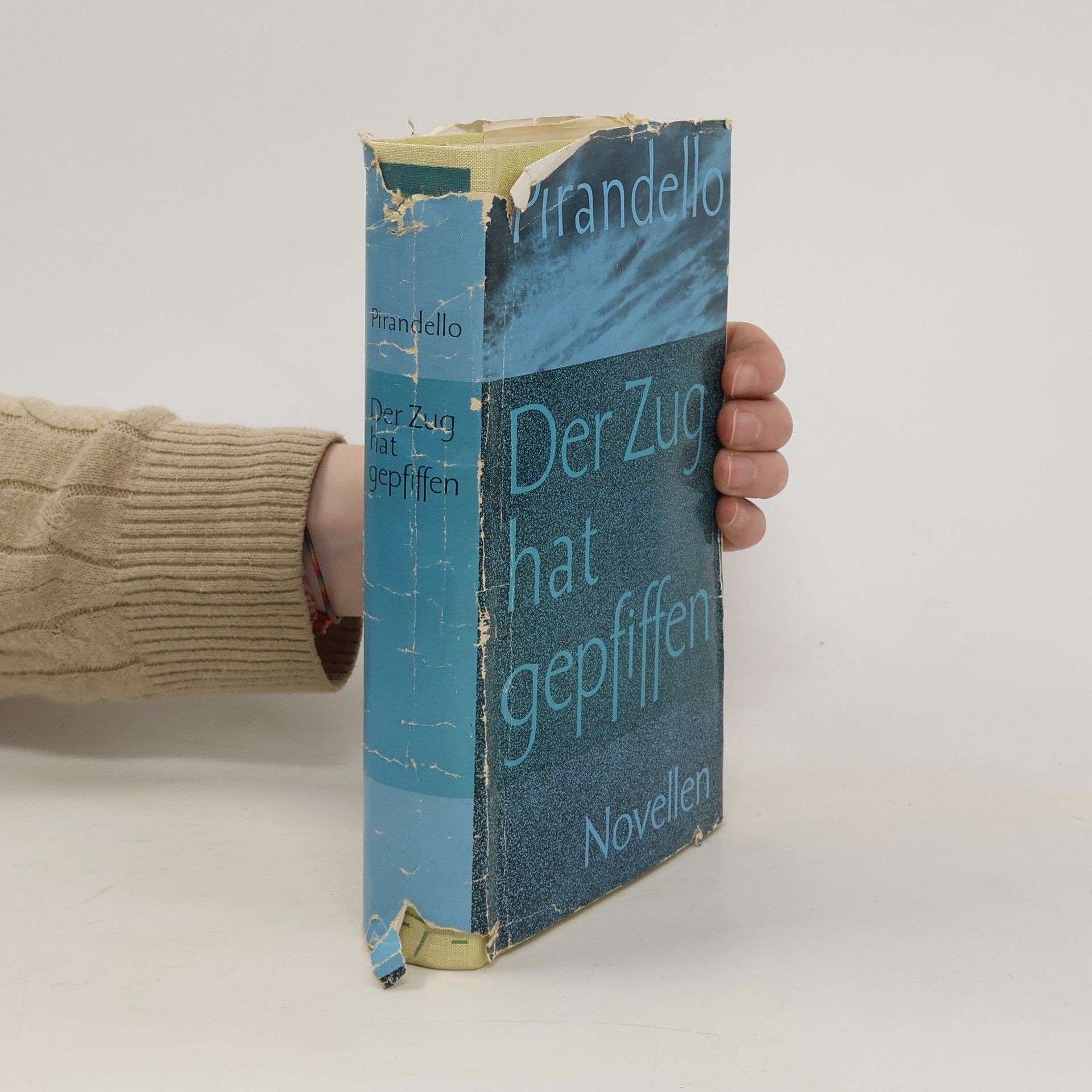 Luigi Pirandello Der Zug hat gepfiffen