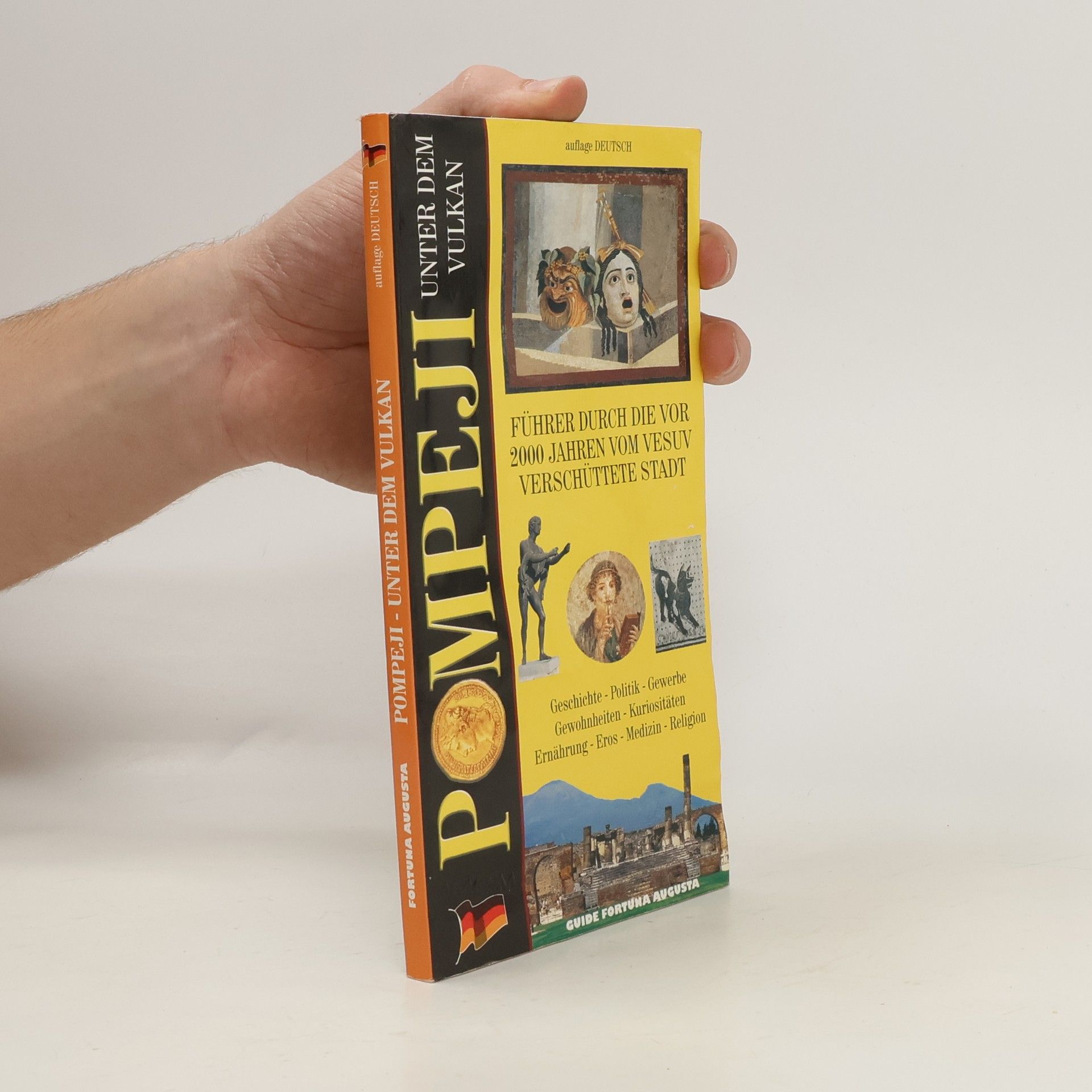 Pompeji unter dem Vulkan