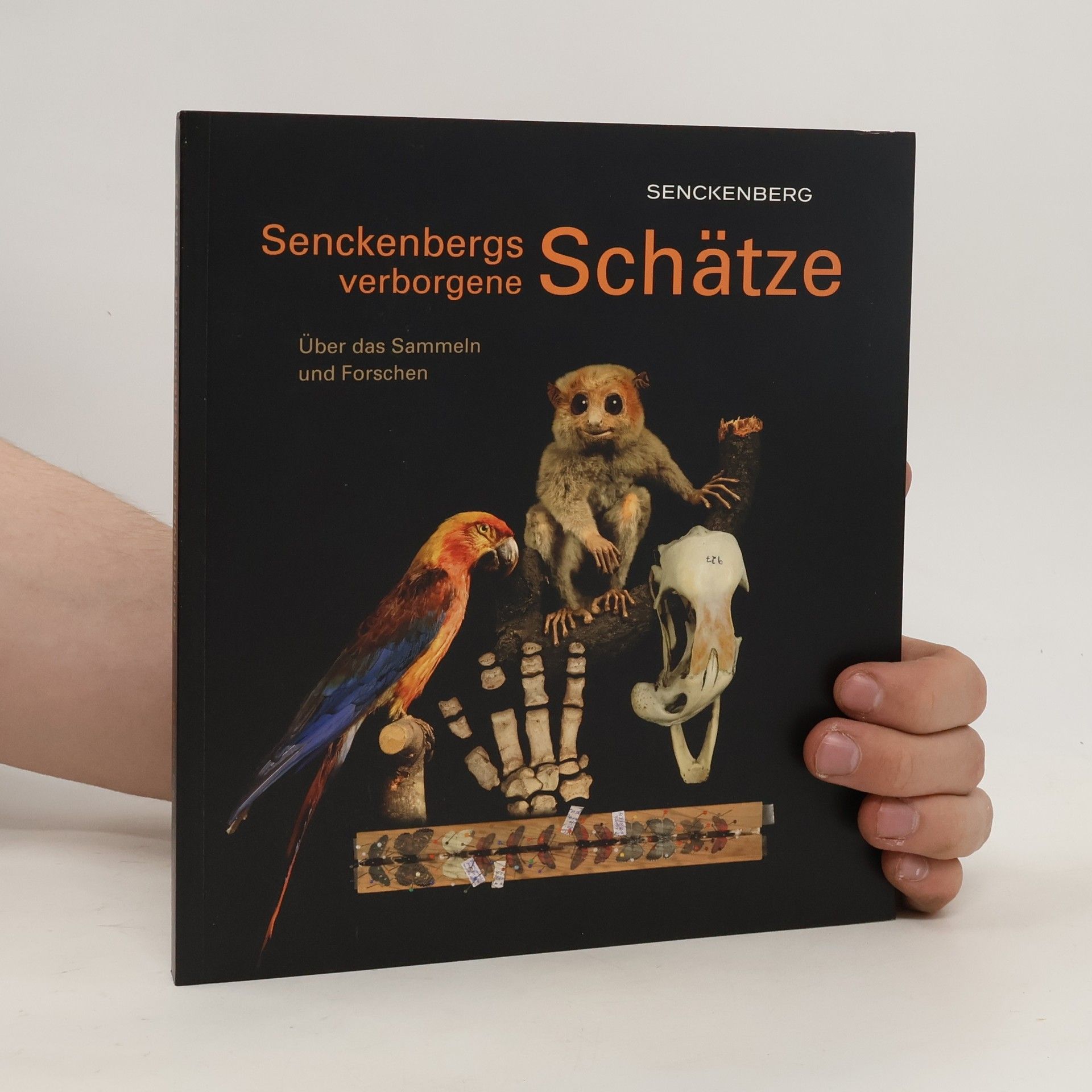 Uwe Fritz Senckenbergs verborgene Schätze