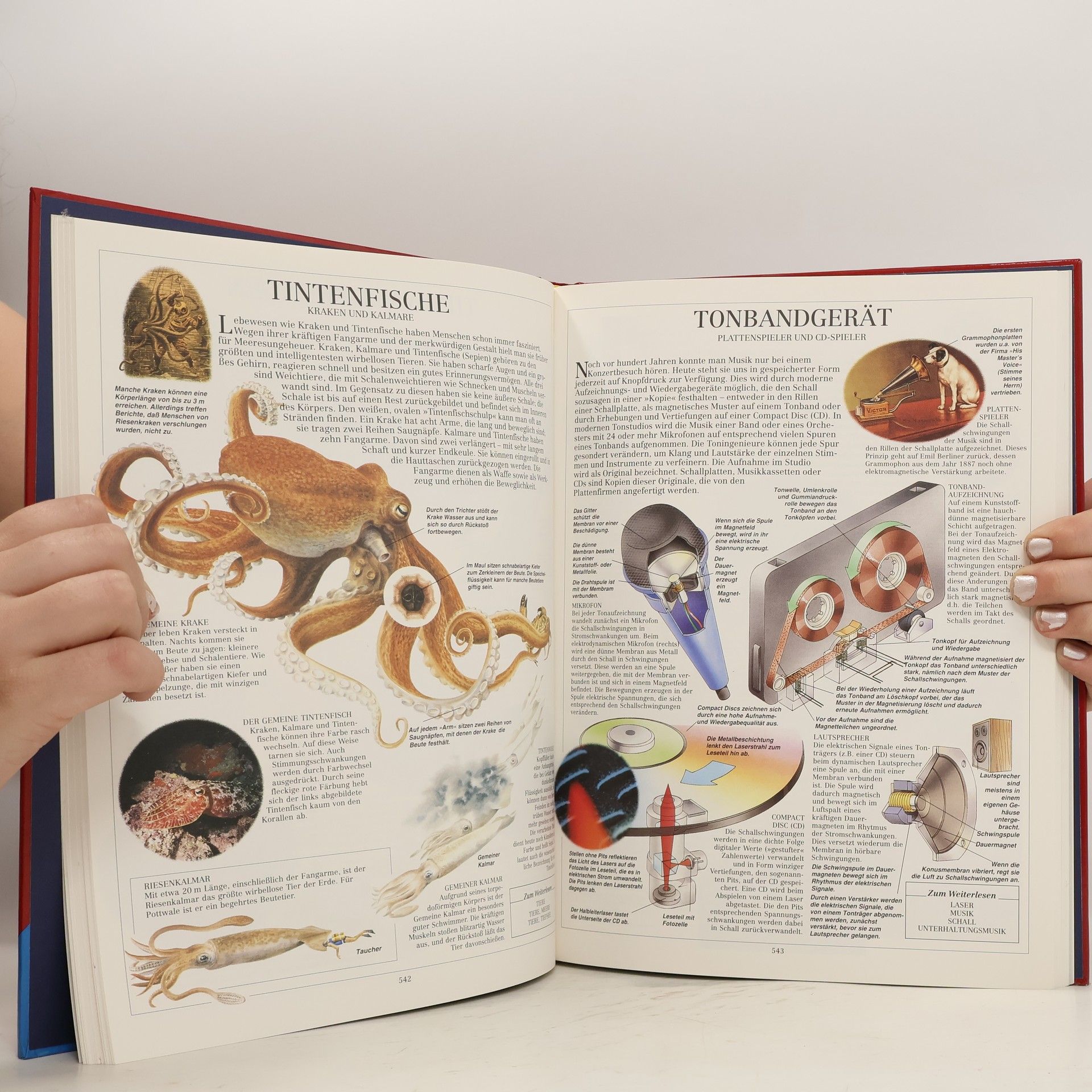 Autorenkollektiv Das grosse Ravensburger Lexikon