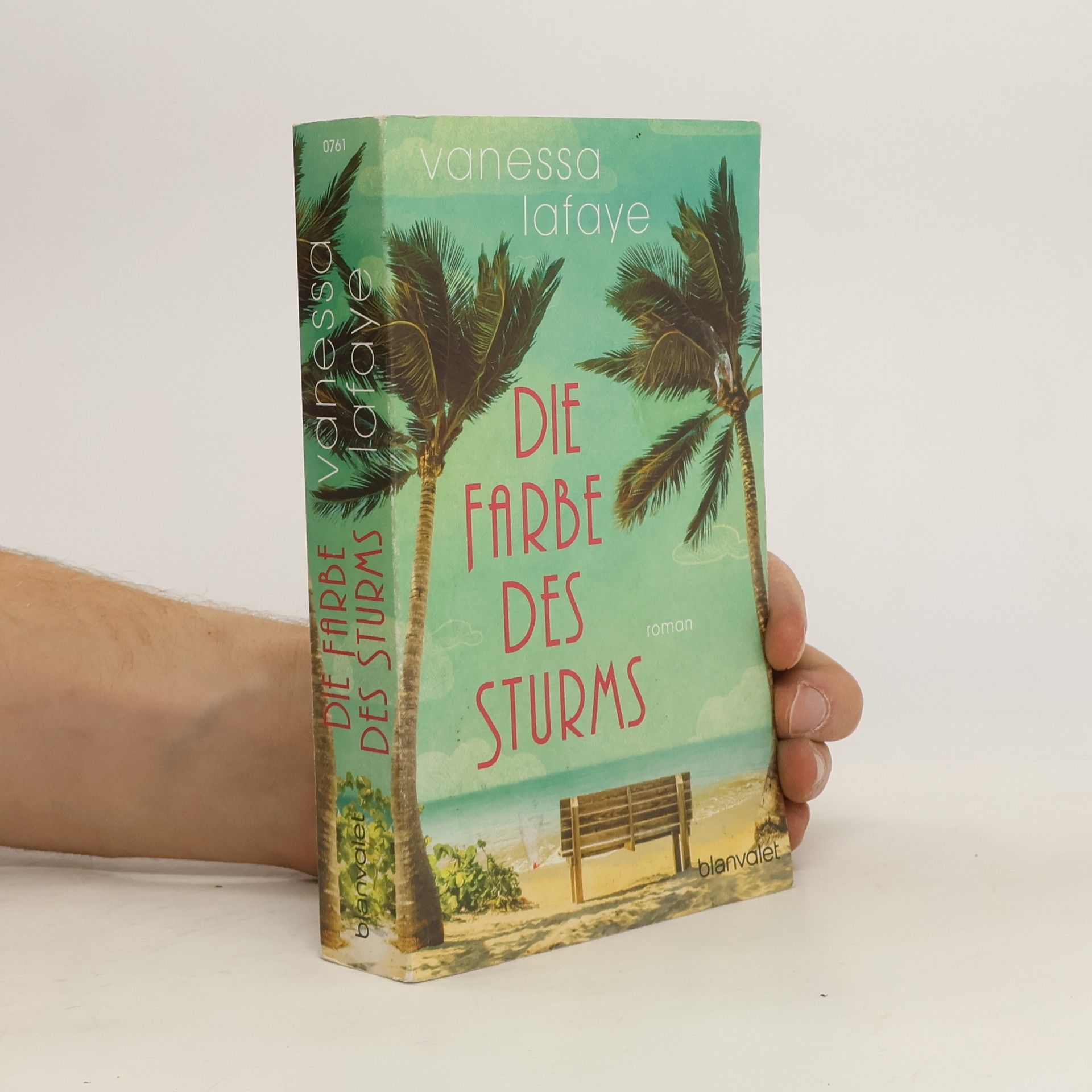 Vanessa Lafaye Die Farbe des Sturms
