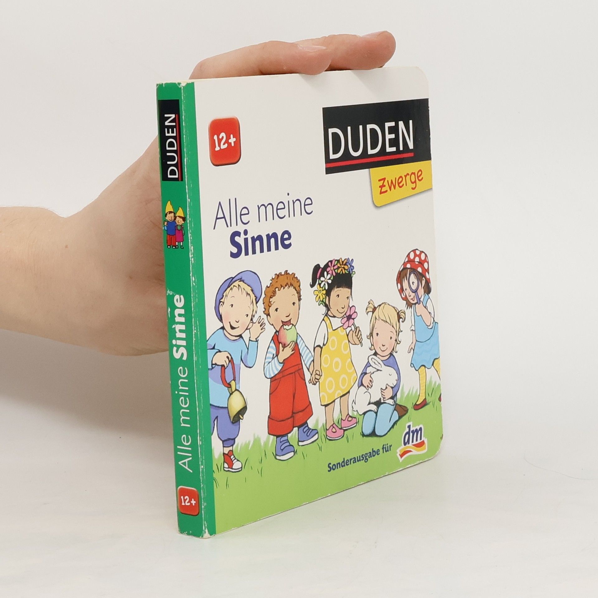 Auteurscollectief Alle meine Sinne