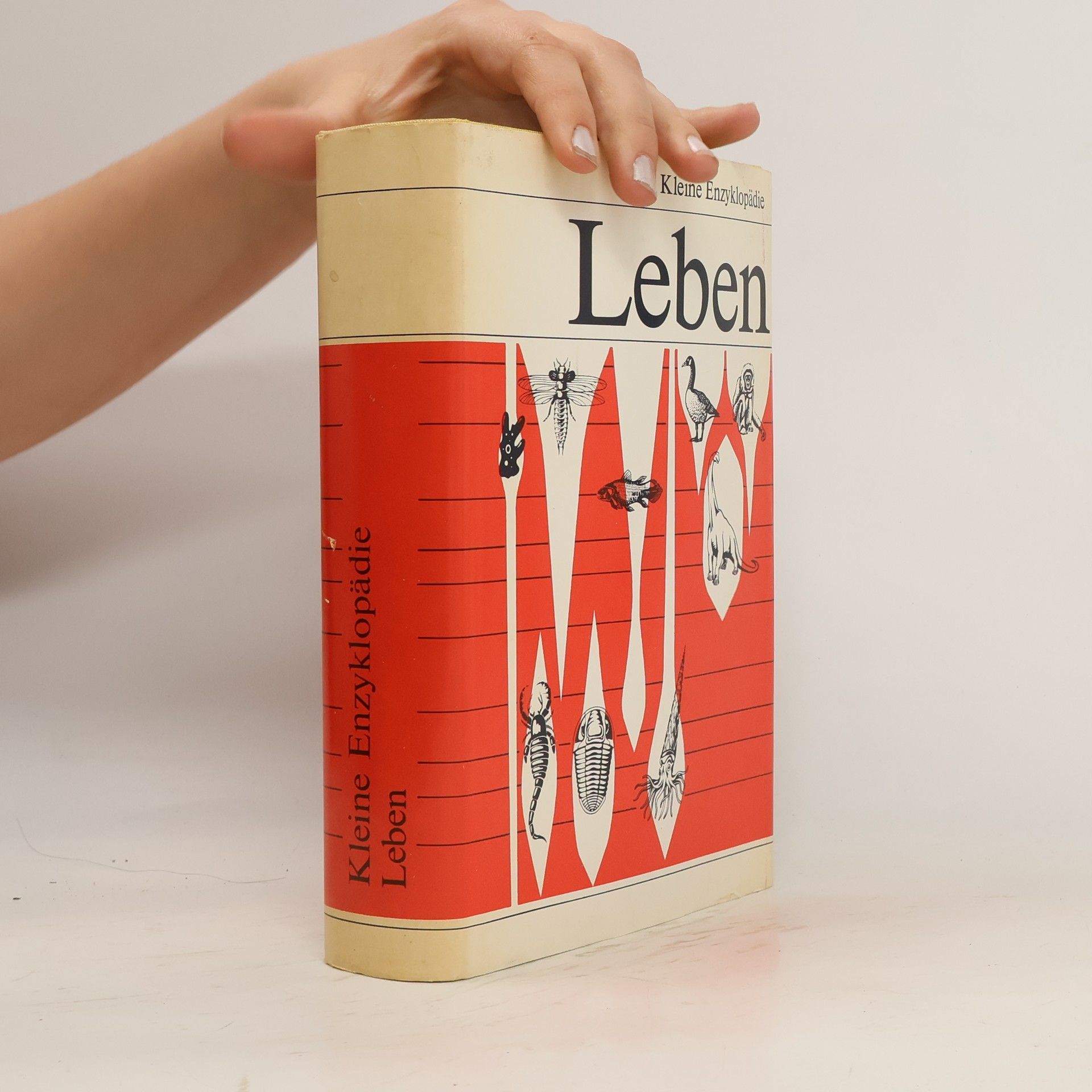 Autorenkollektiv Kleine Enzyklopädie Leben