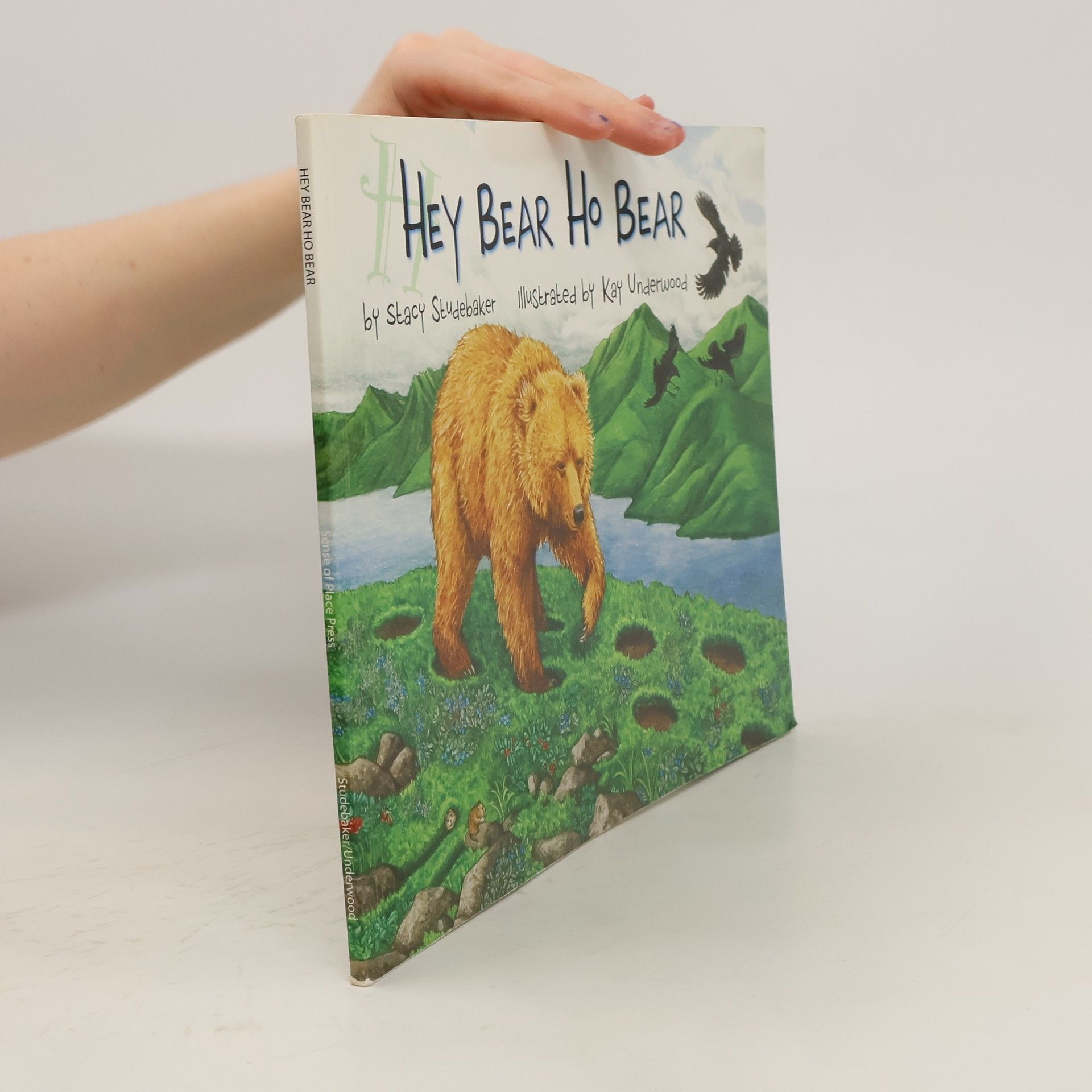 Stacy Studebaker Hey Bear, Ho Bear