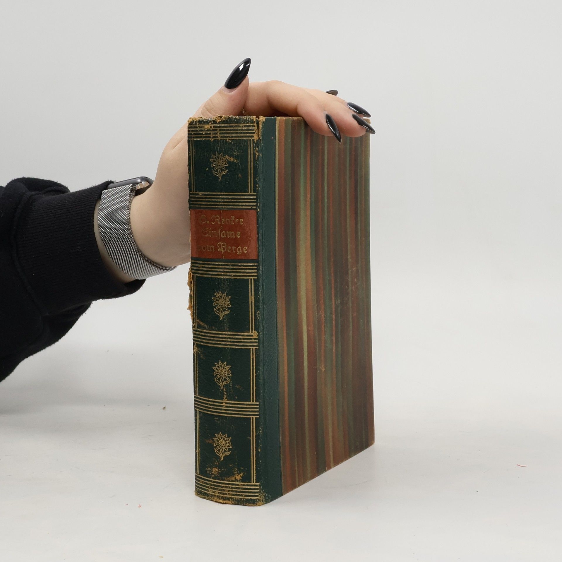 Gustav Renter Einsame vom Berge