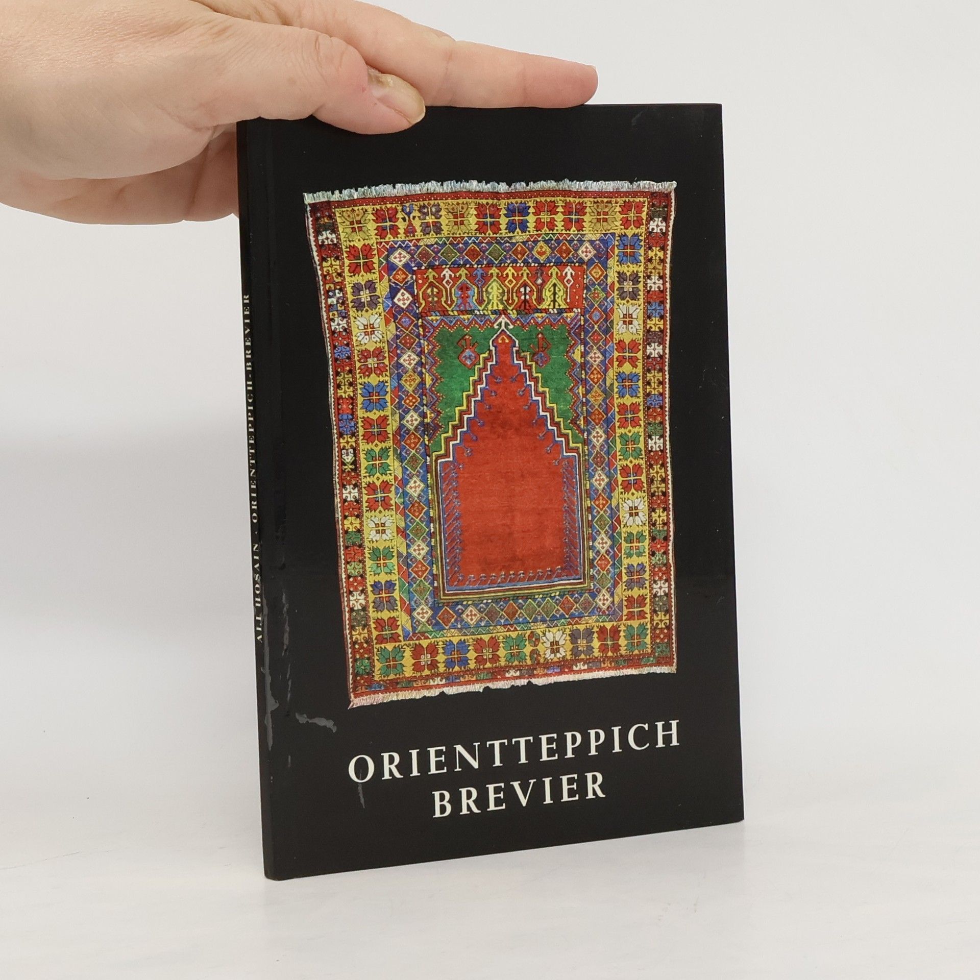 Ali Hosain Orientteppich-Brevier