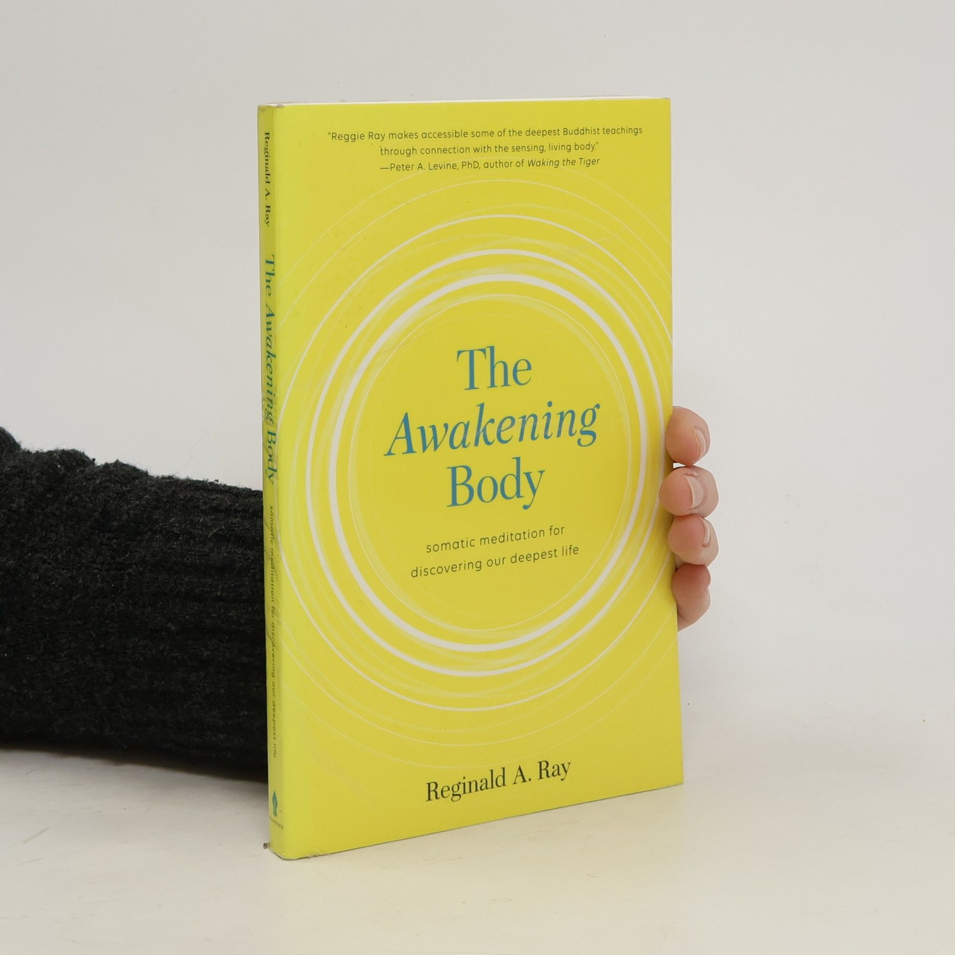 Reginald A. Ray The Awakening Body