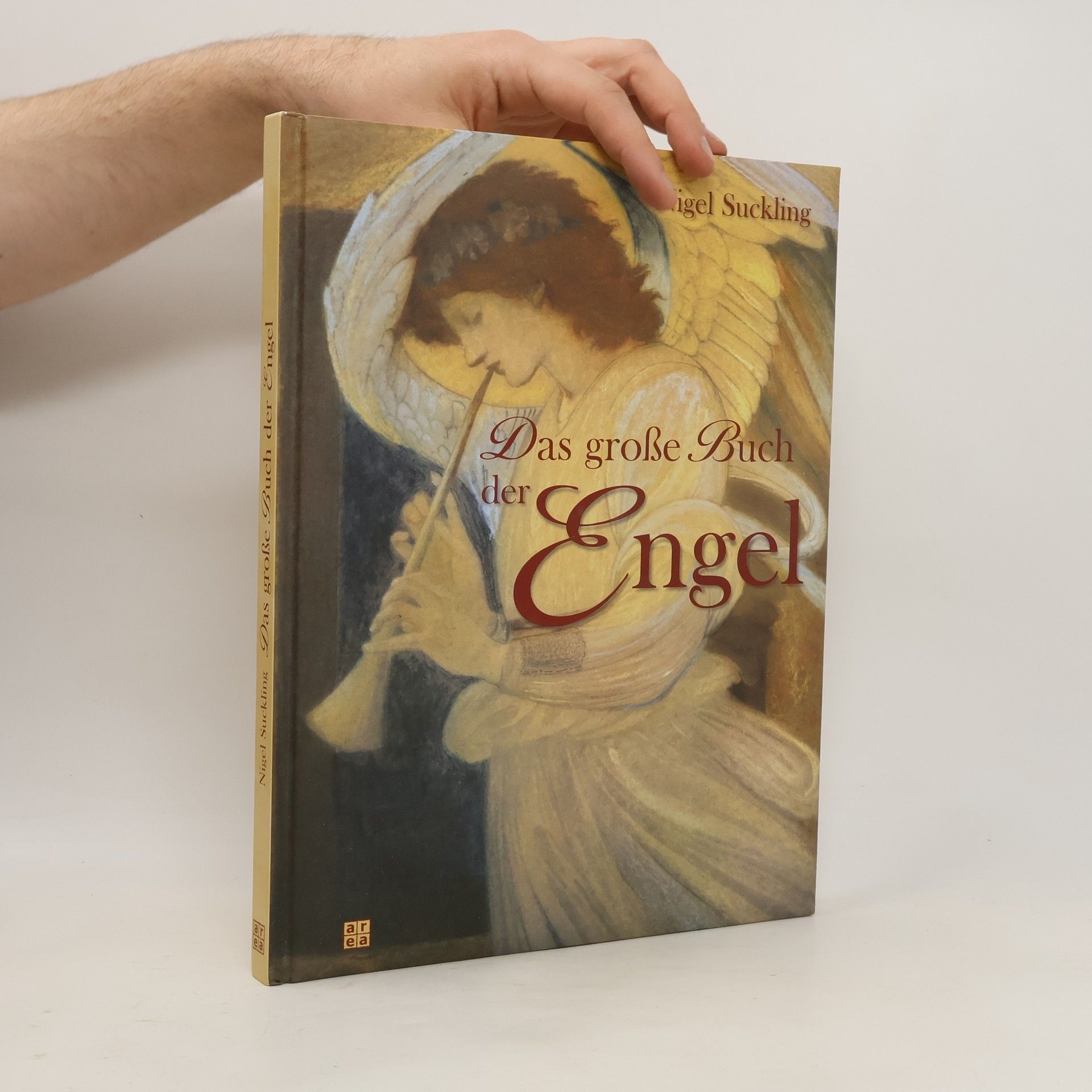 Nigel Suckling Das große Buch der Engel