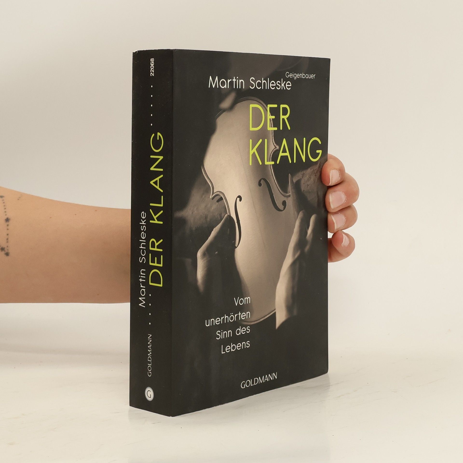 Martin Schleske Der Klang
