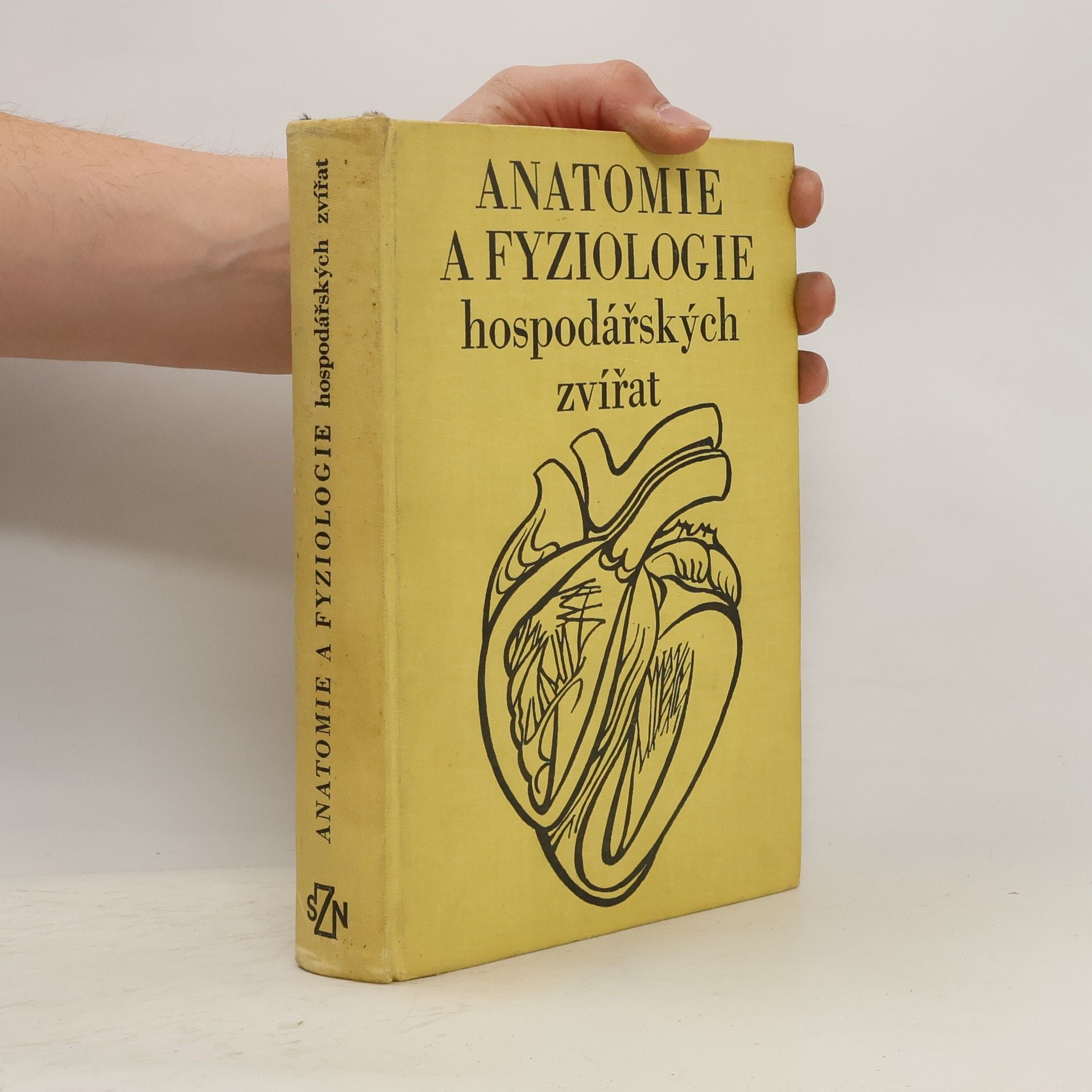 Collectif d'auteurs Anatomie a fyziologie hospodářských zvířat