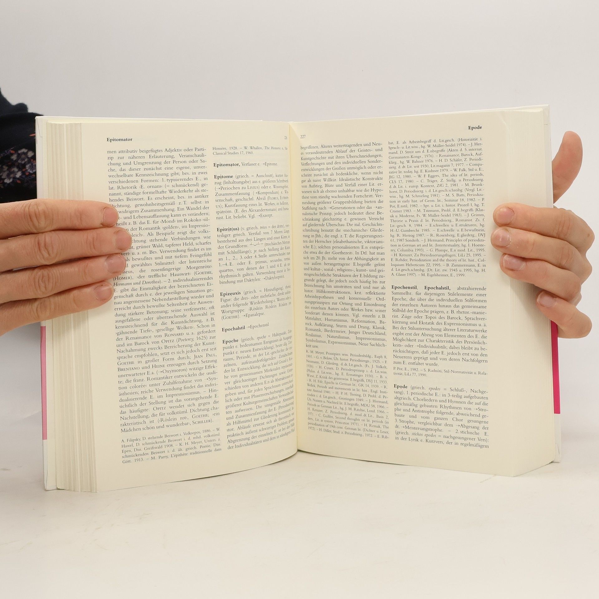 Gero von Wilpert Sachwörterbuch der Literatur