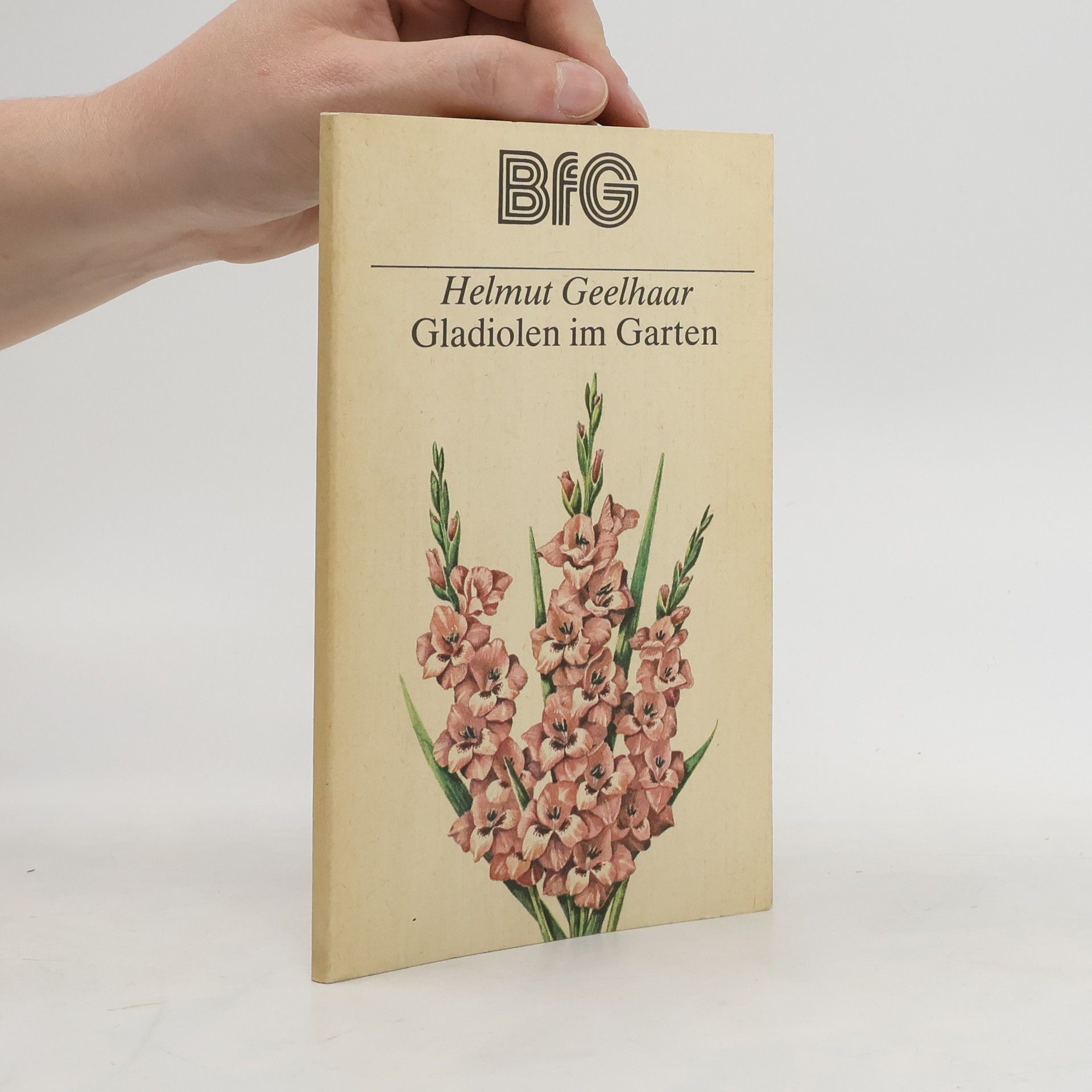 Helmut Geelhaar Gladiolen im Garten
