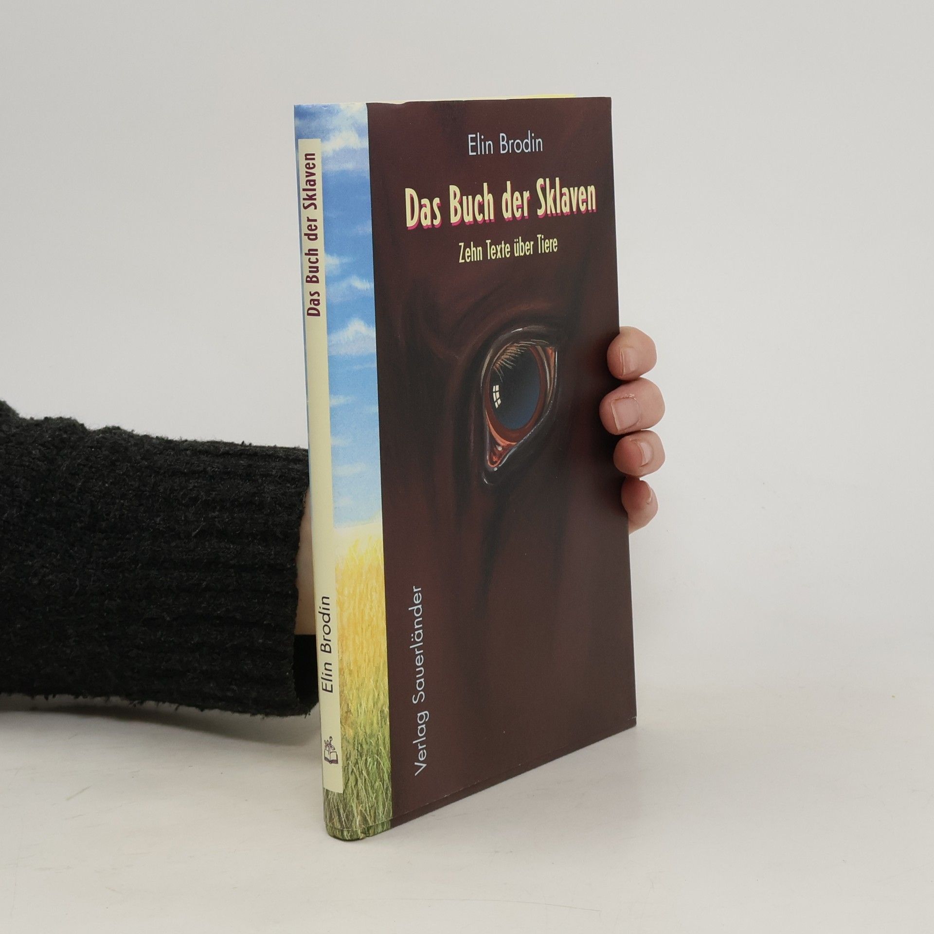 Elin Brodin Das Buch der Sklaven