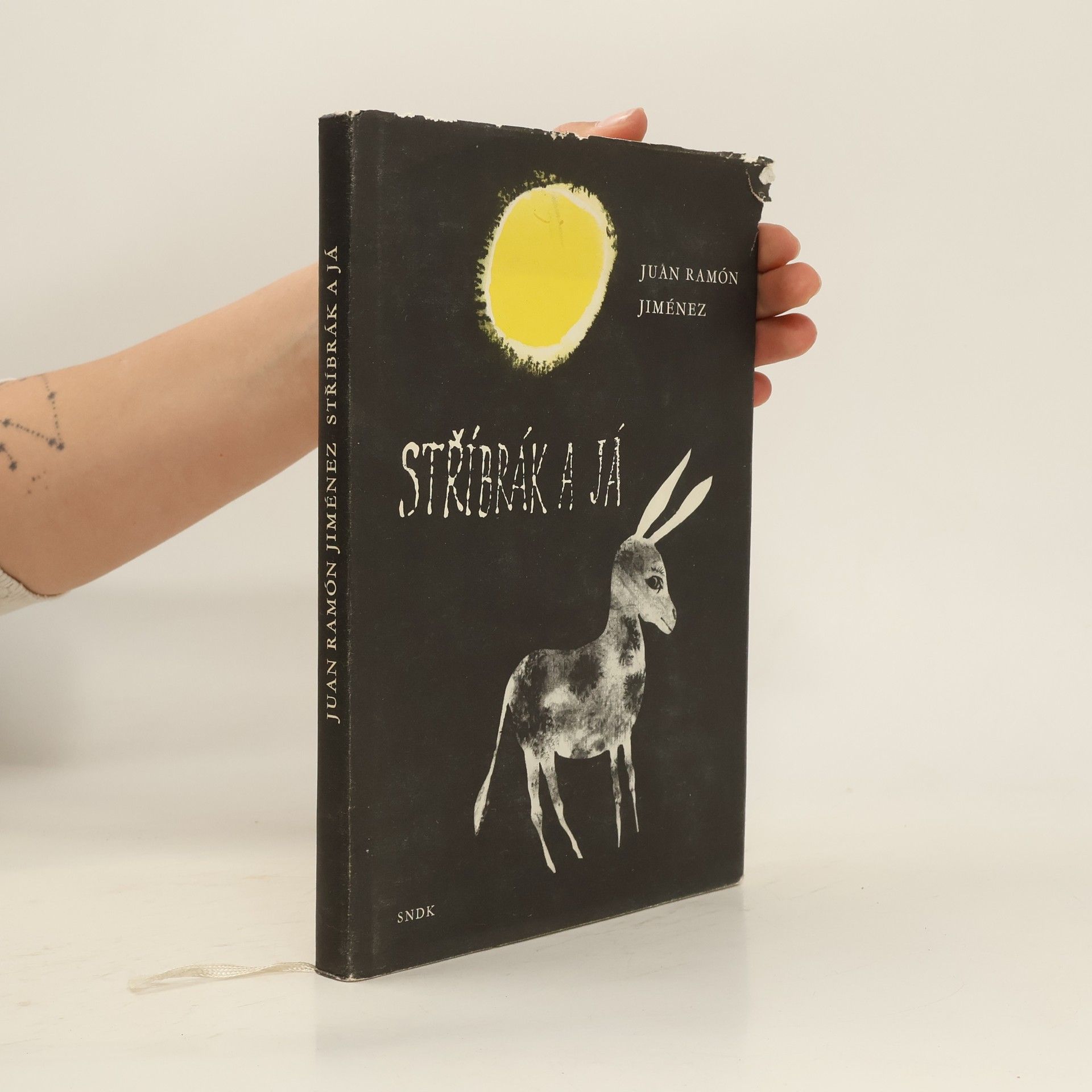 Juan Ramón Jiménez Mantecón Stříbrák a já