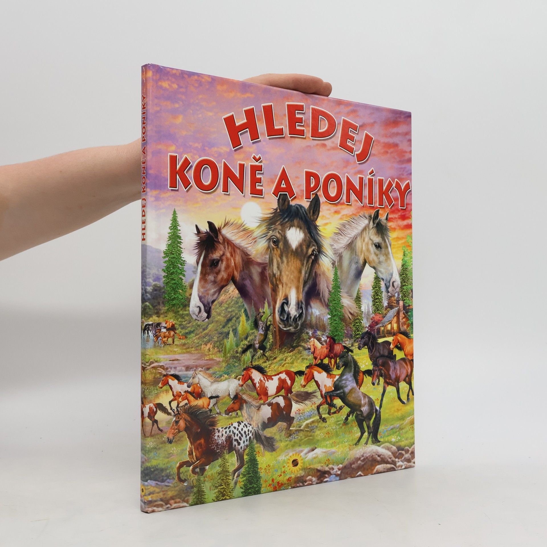 Francisco Arredondo Hledej koně a poníky