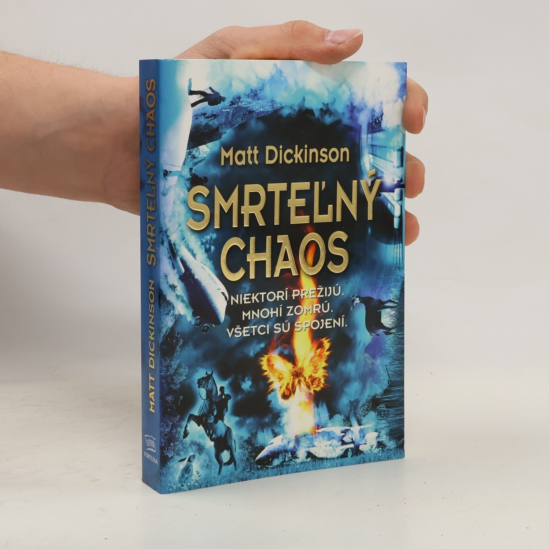 Matt Dickinson Smrteľný chaos