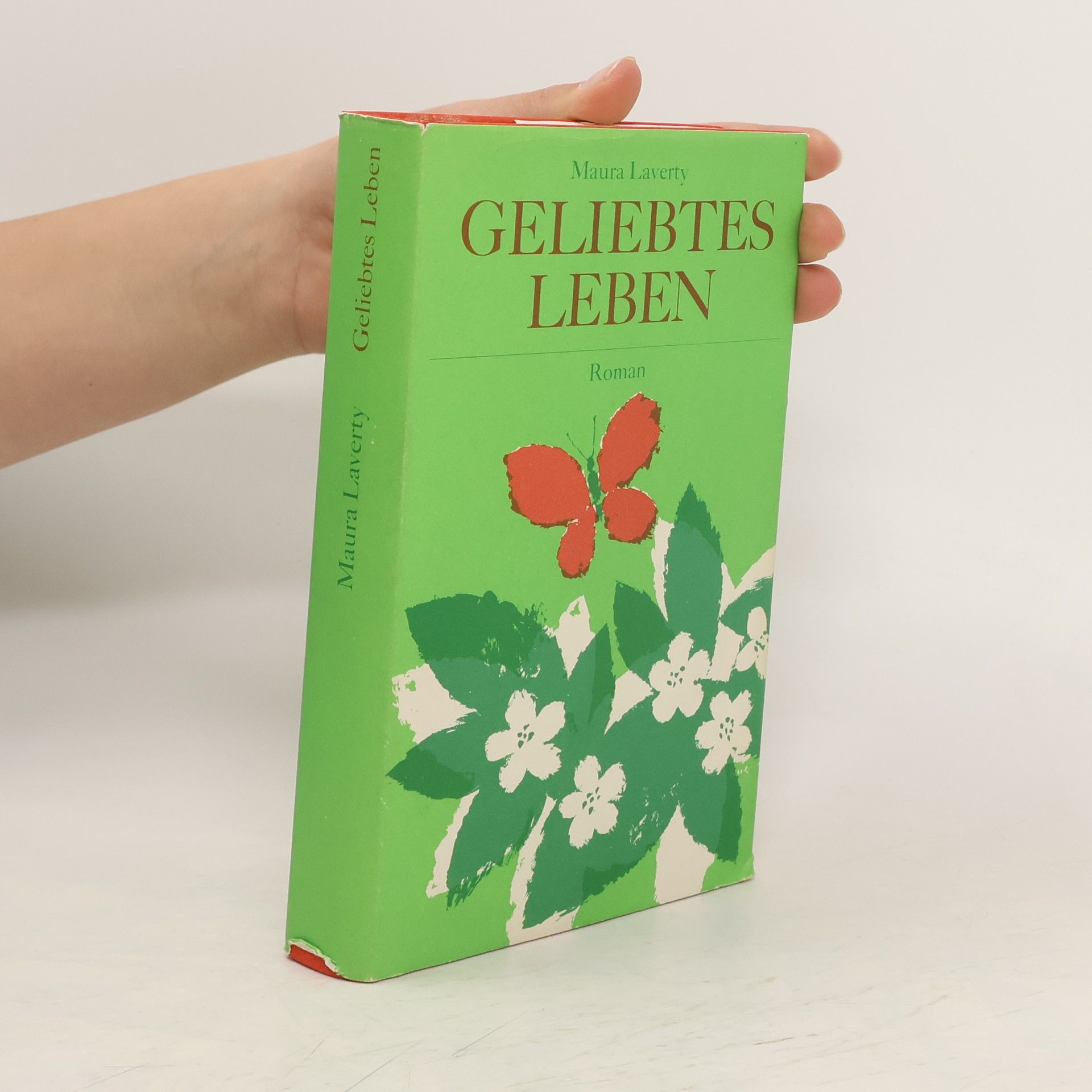 Maura Laverty Geliebtes Leben