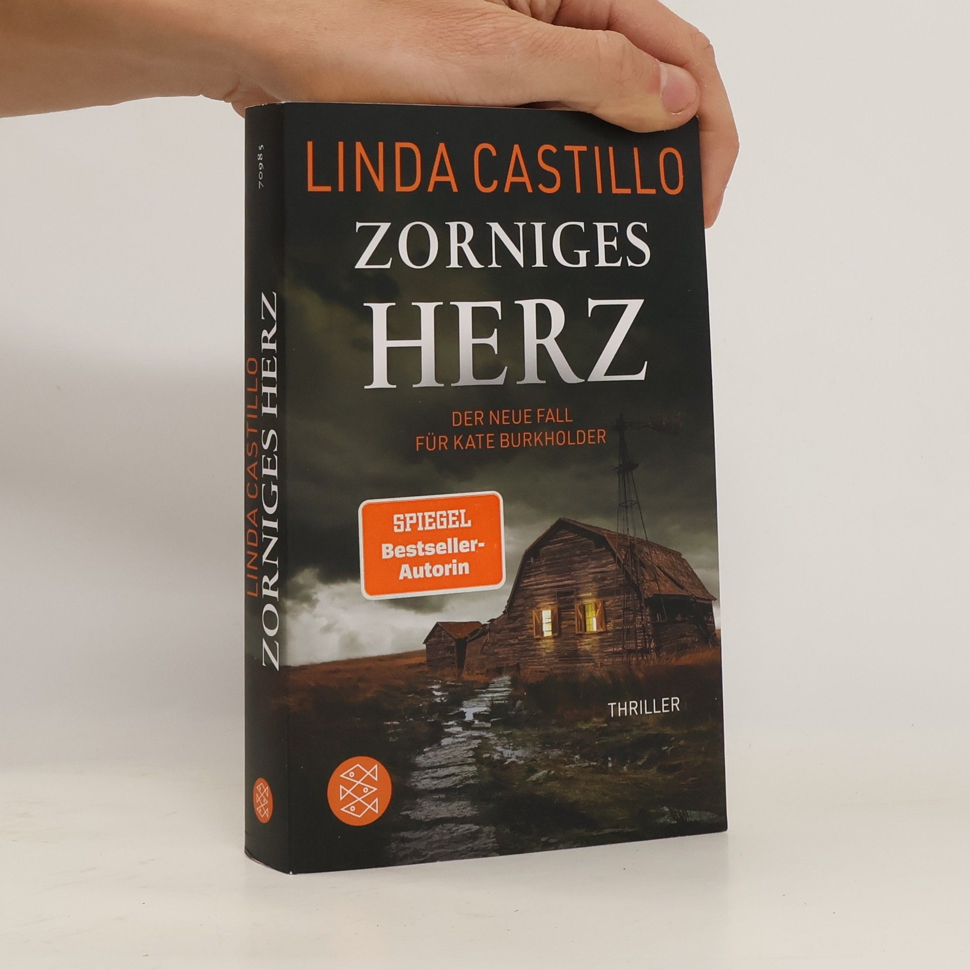 Linda Castillo Zorniges Herz
