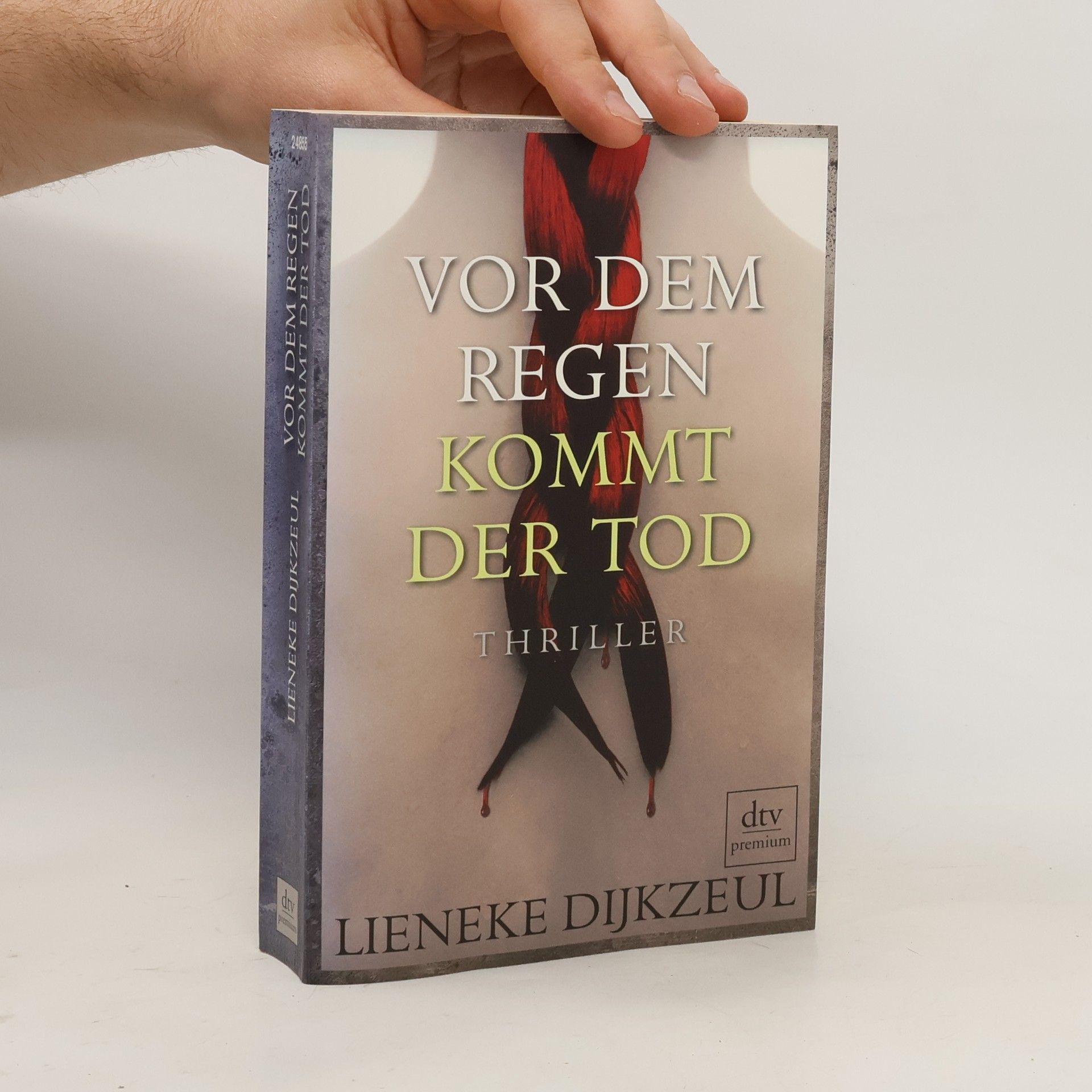Lieneke Dijkzeul Vor dem Regen kommt der Tod